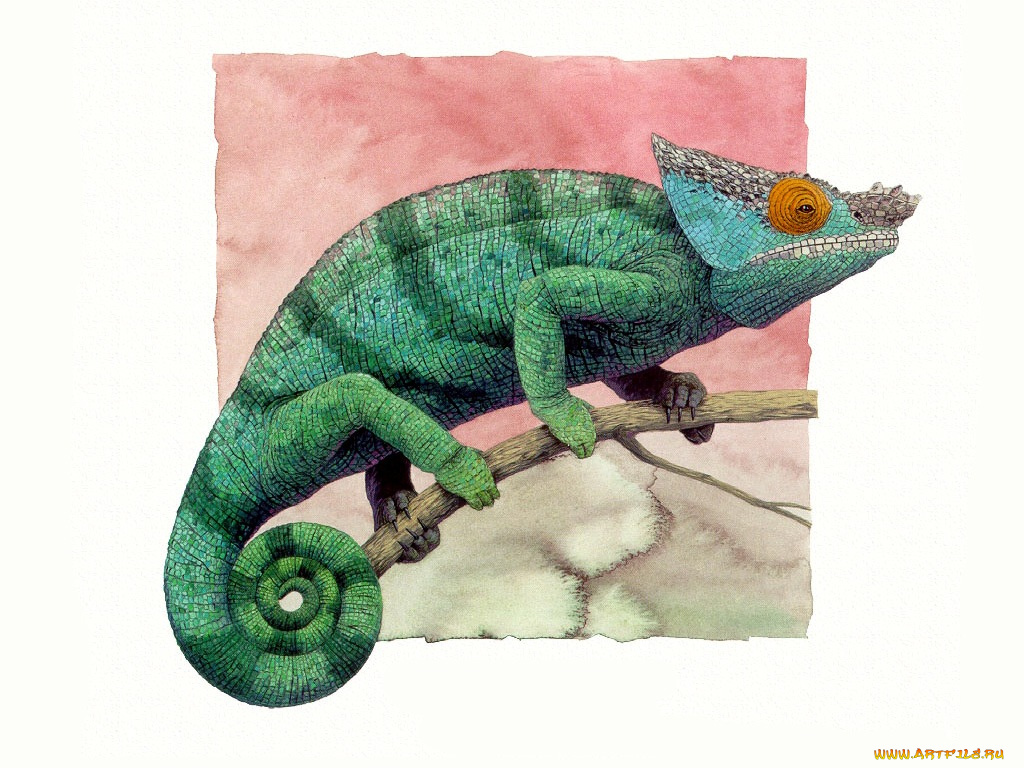 рисованные, животные, ящерицы, хамелеон