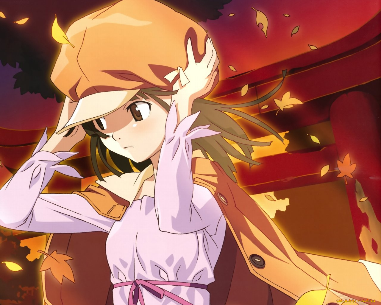 аниме, bakemonogatari, sengoku, nadeko, девушка, шляпа, пиджак, листья, ветер, храм