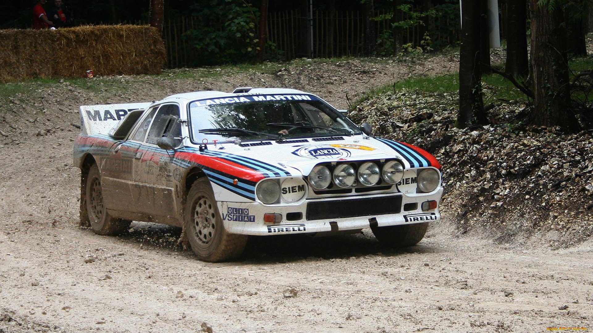 спорт, авторалли