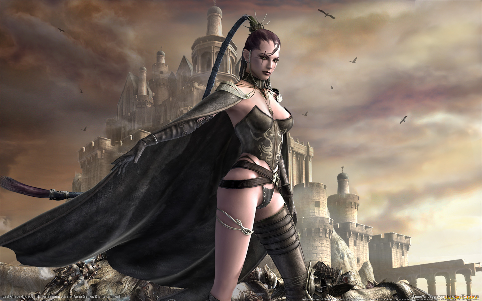 видео, игры, last, chaos