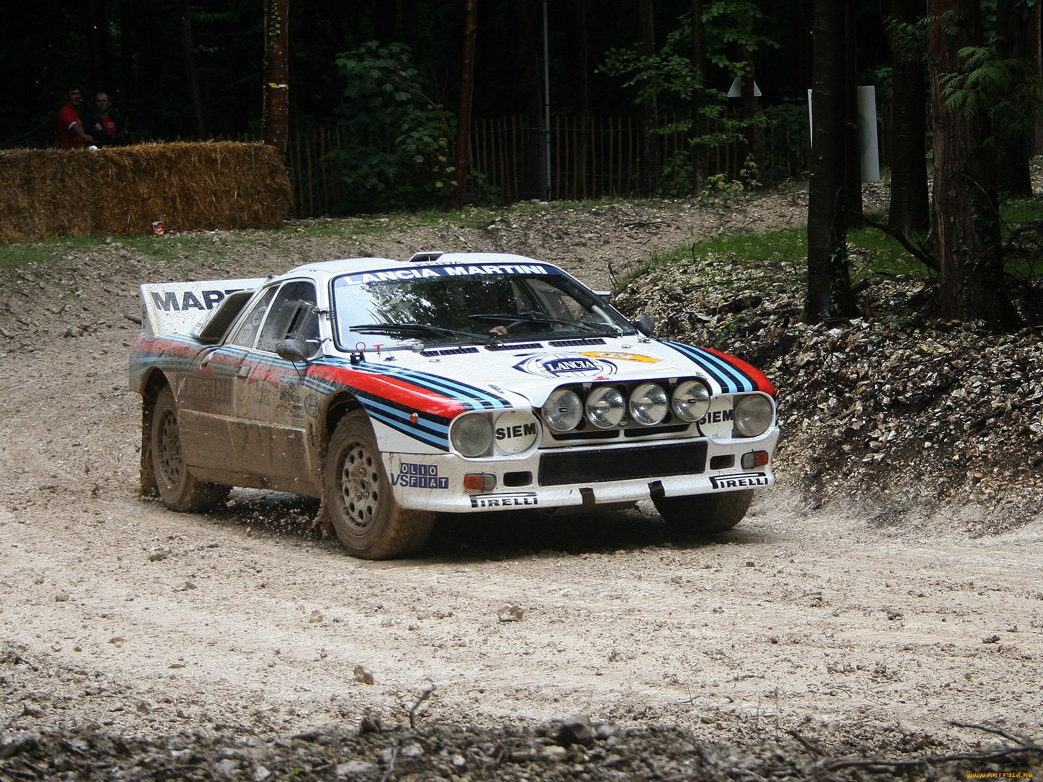 спорт, авторалли