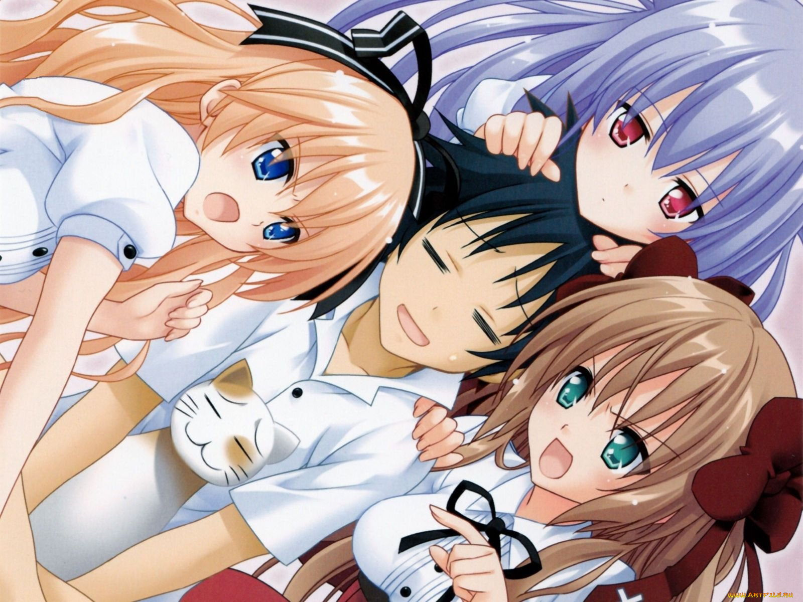 аниме, mayoi, neko, overrun