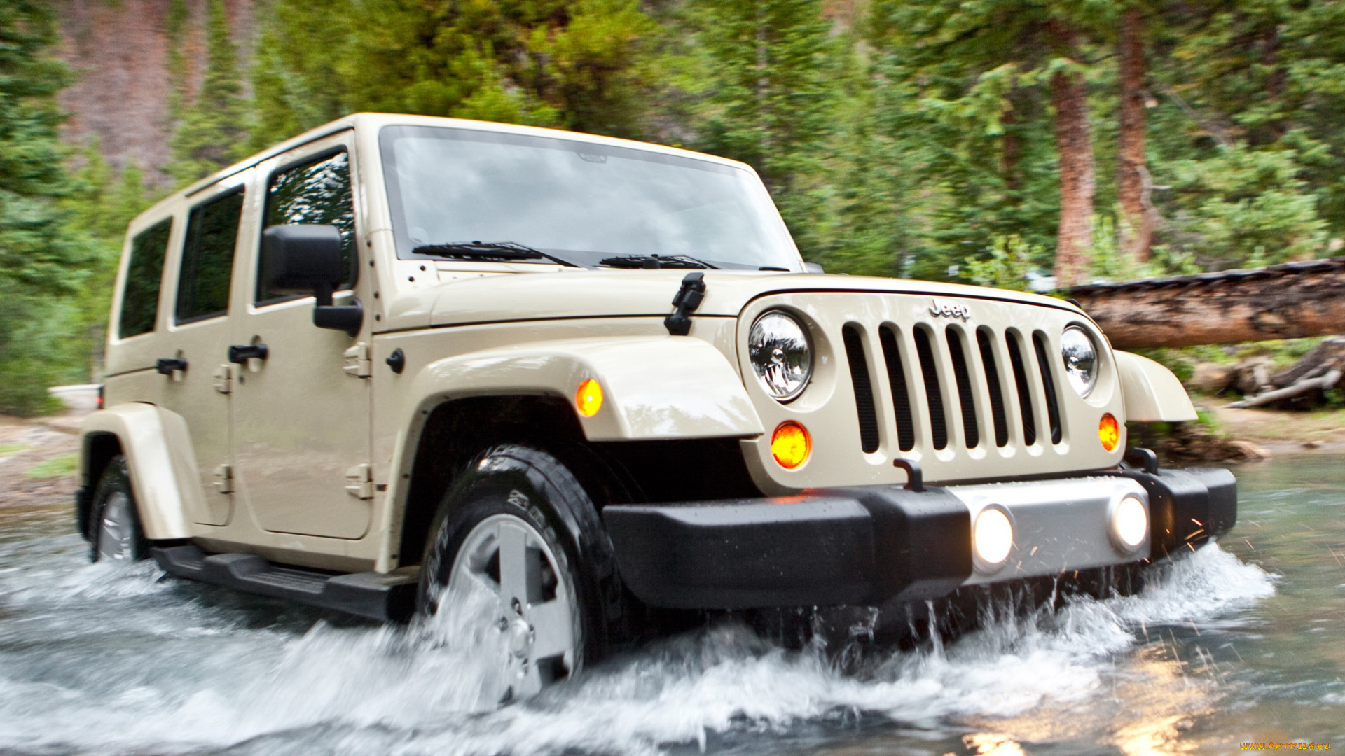 автомобили, jeep