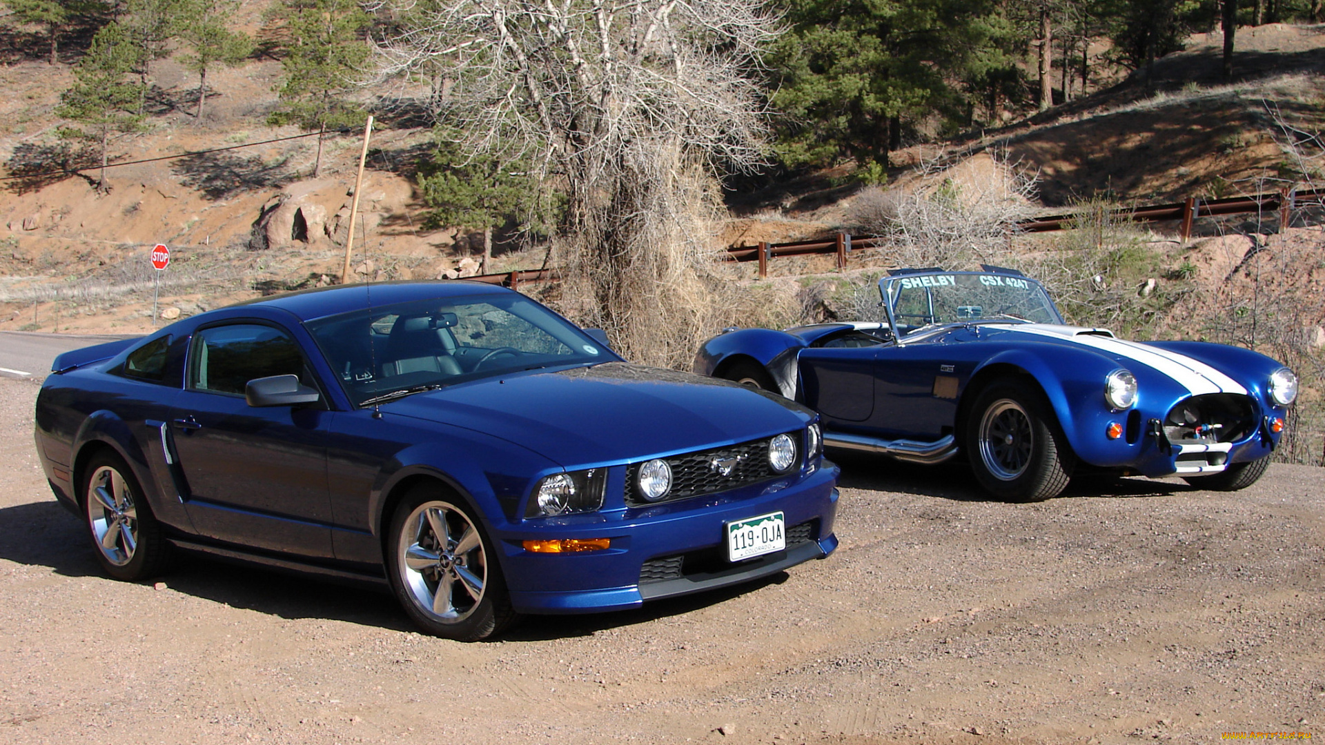 автомобили, разные, вместе