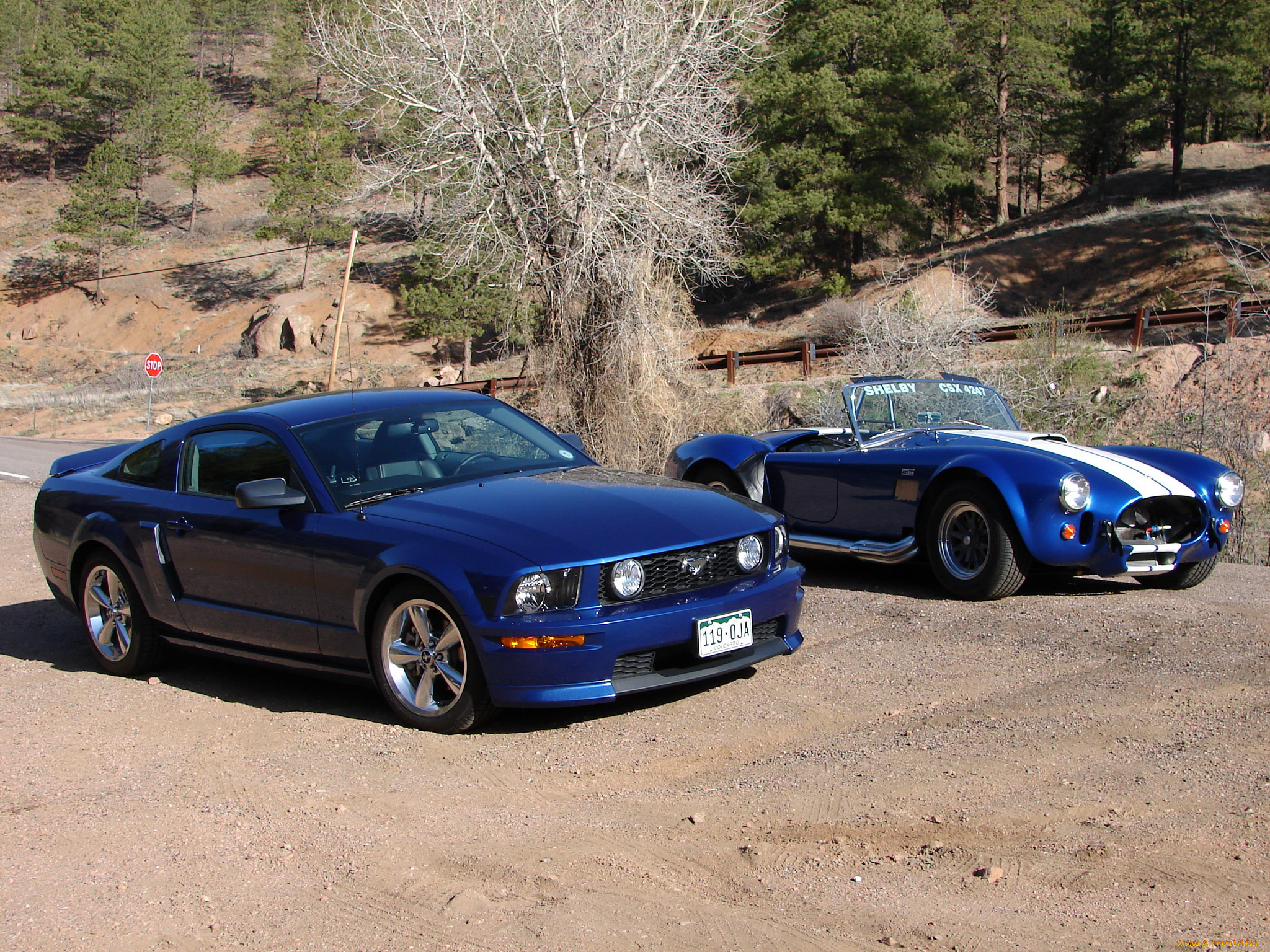 автомобили, разные, вместе