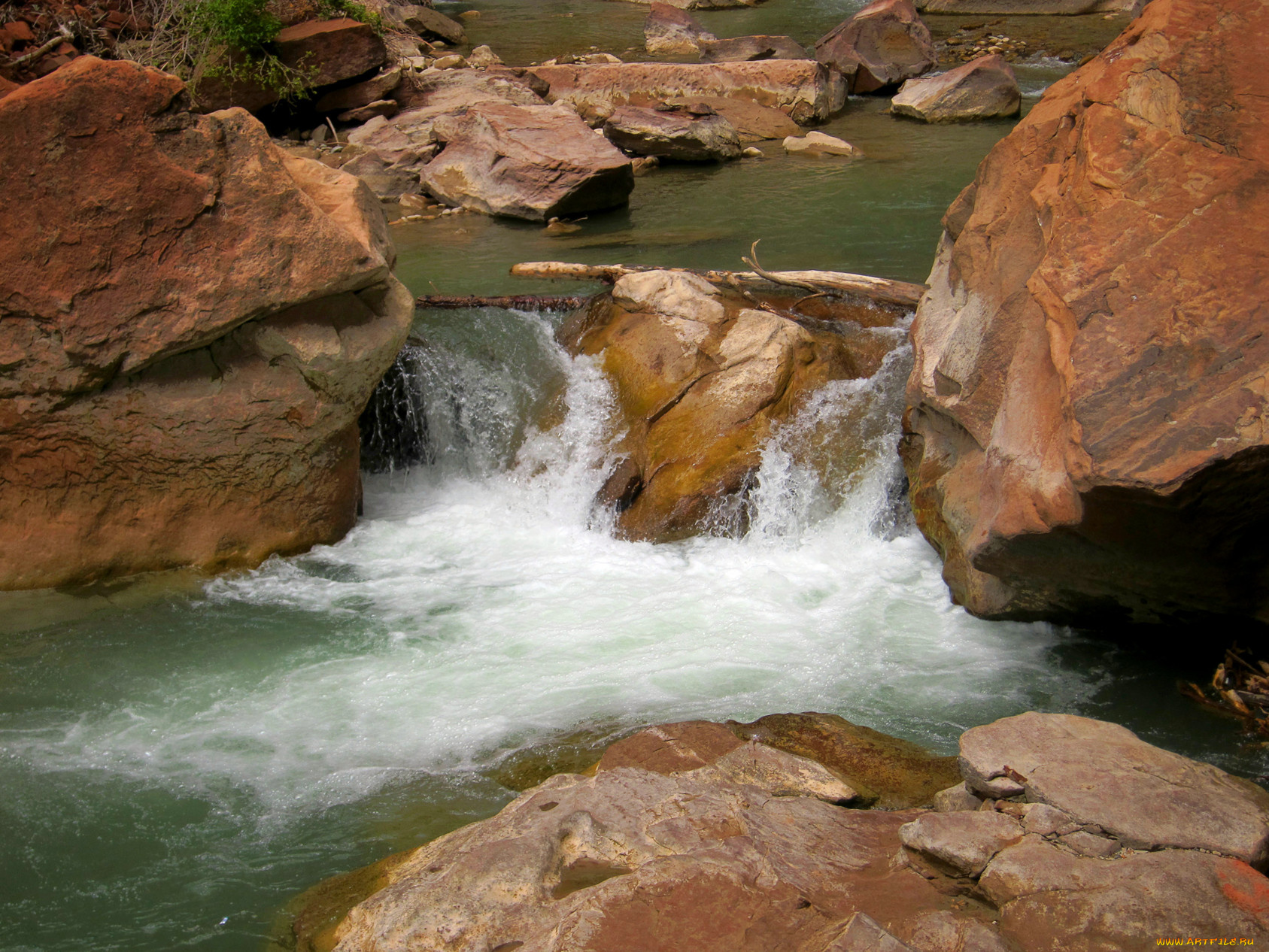 природа, реки, озера, река, камни