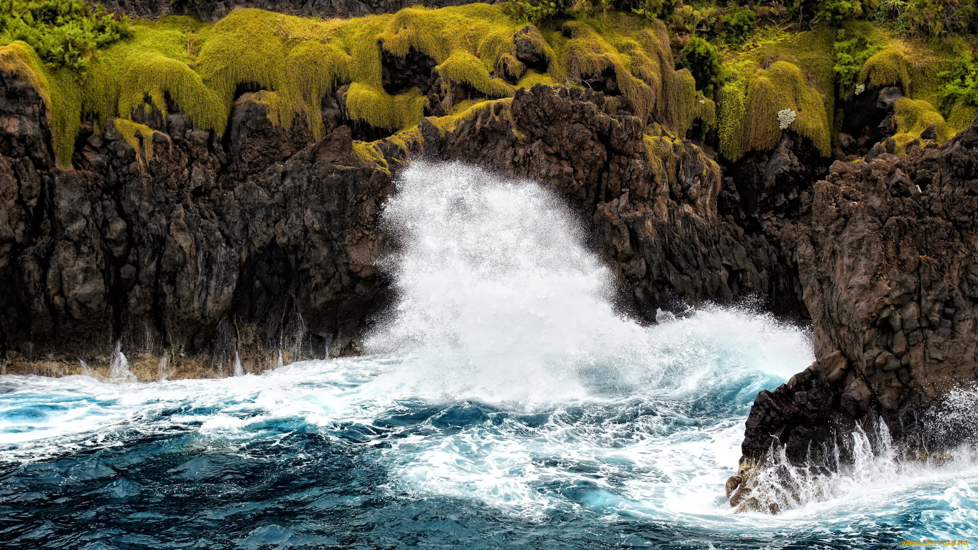 природа, побережье, море, скалы