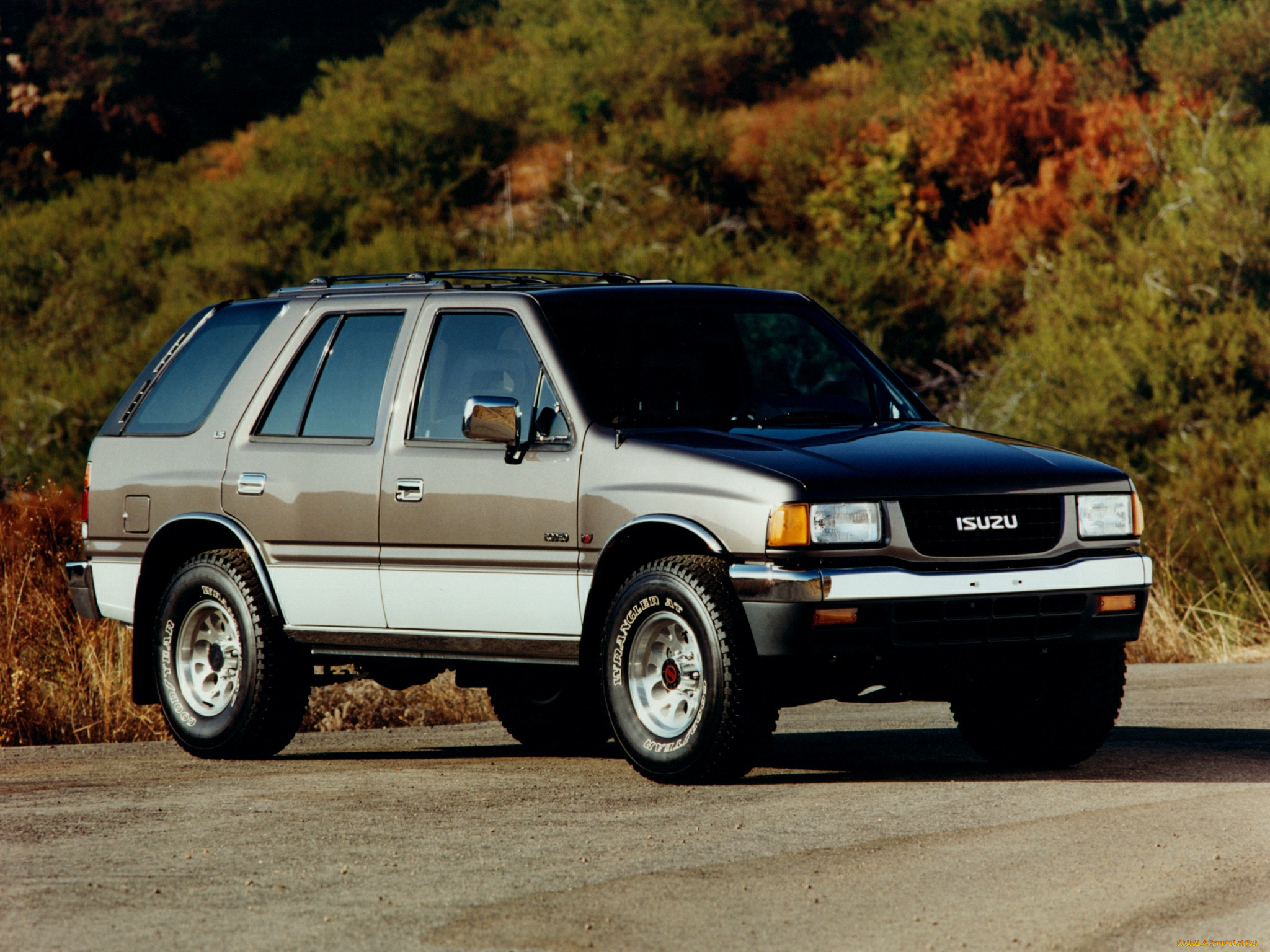 isuzu, rodeo, ls, автомобили
