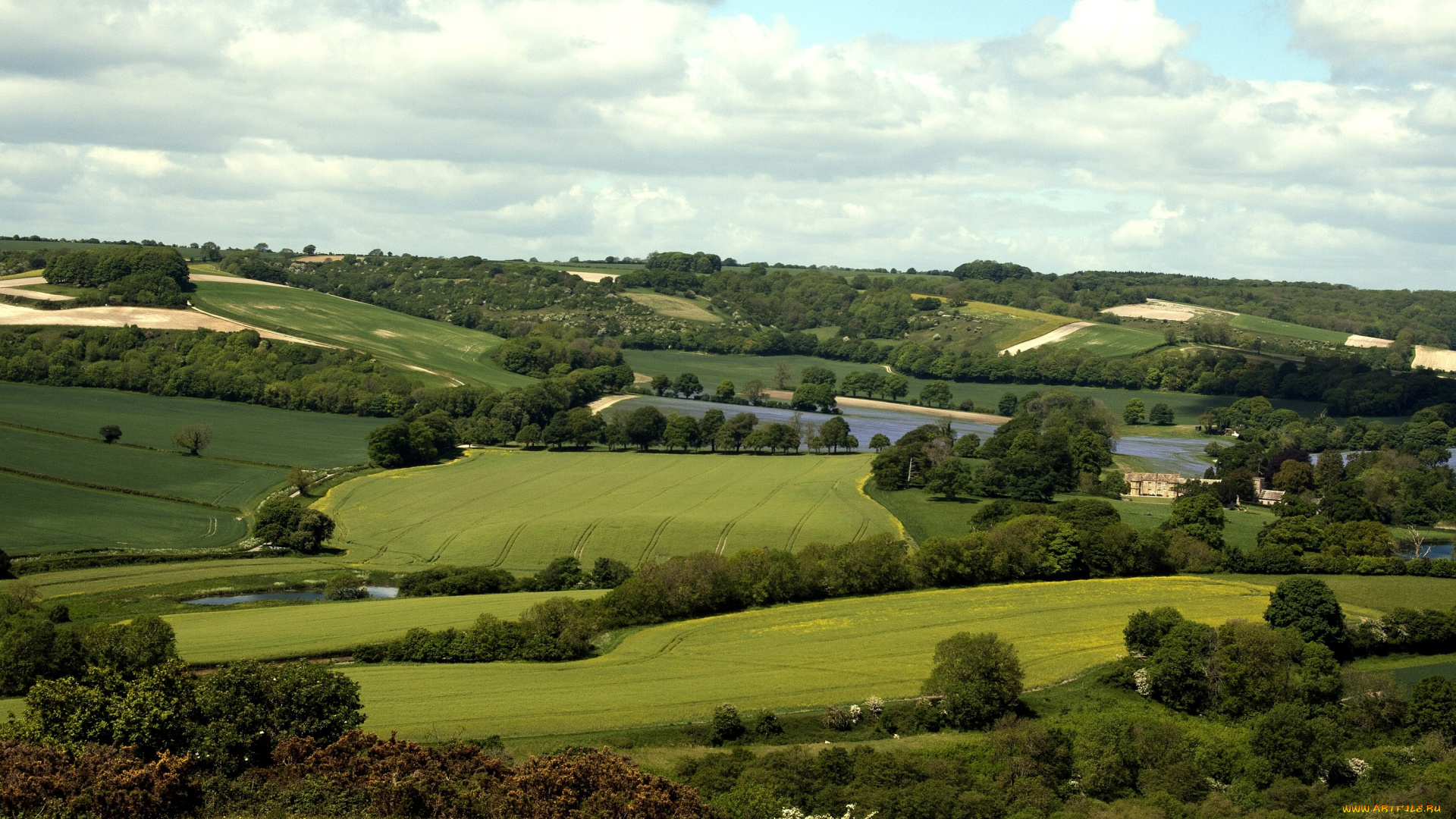 природа, поля, зелень, река, деревья, пейзаж