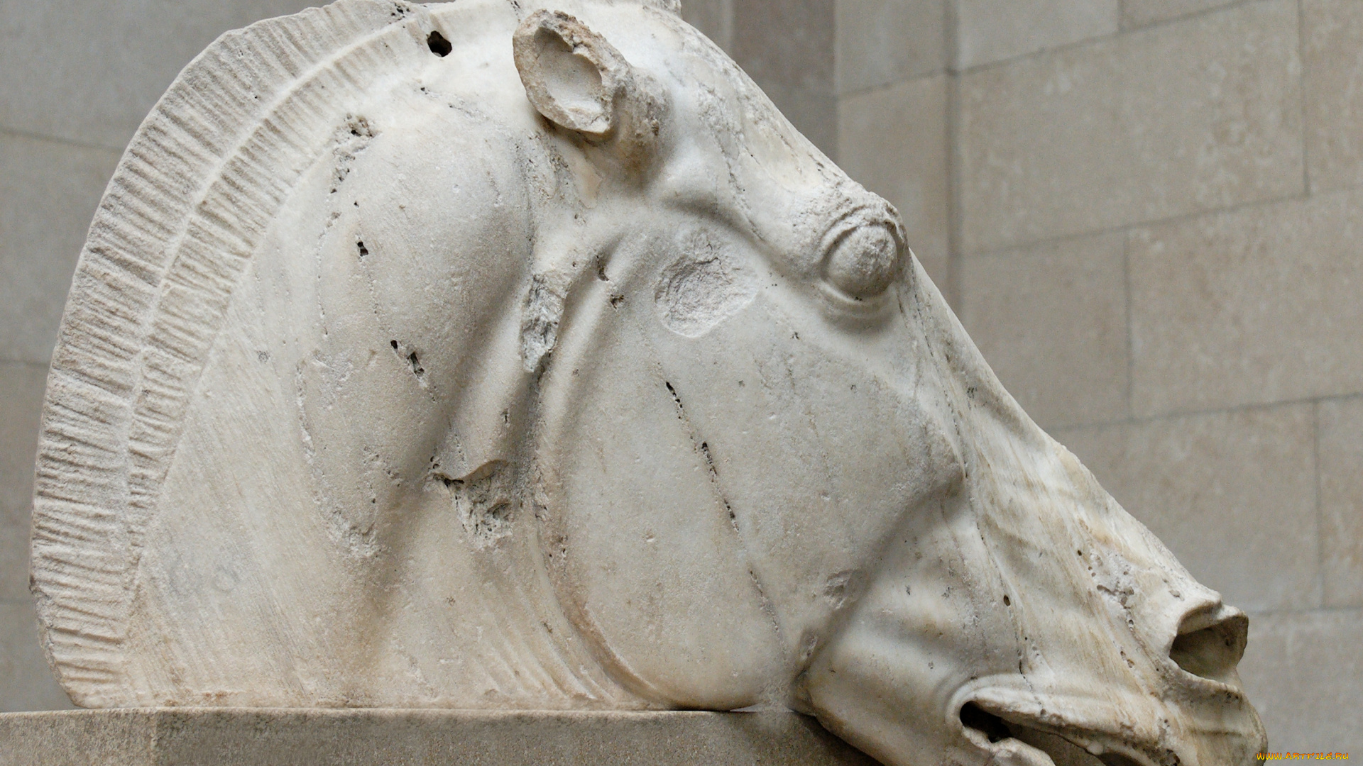 разное, рельефы, статуи, музейные, экспонаты, лошадь, скульптура, голова