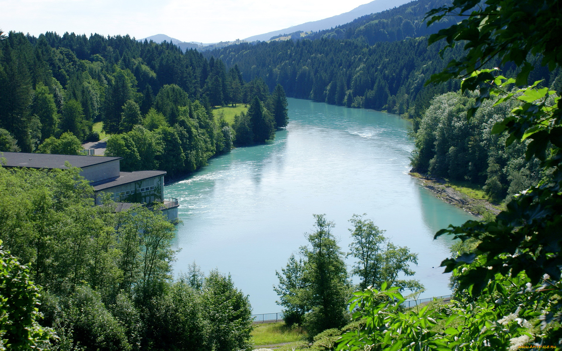 германия, бавария, хальблех, природа, реки, озера, лес, река