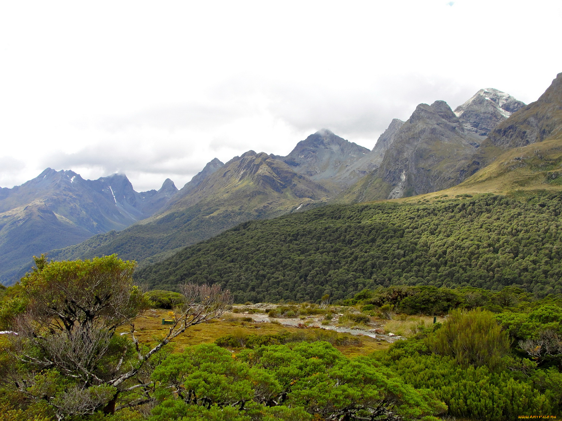 fiordland, national, park, новая, зеландия, природа, горы