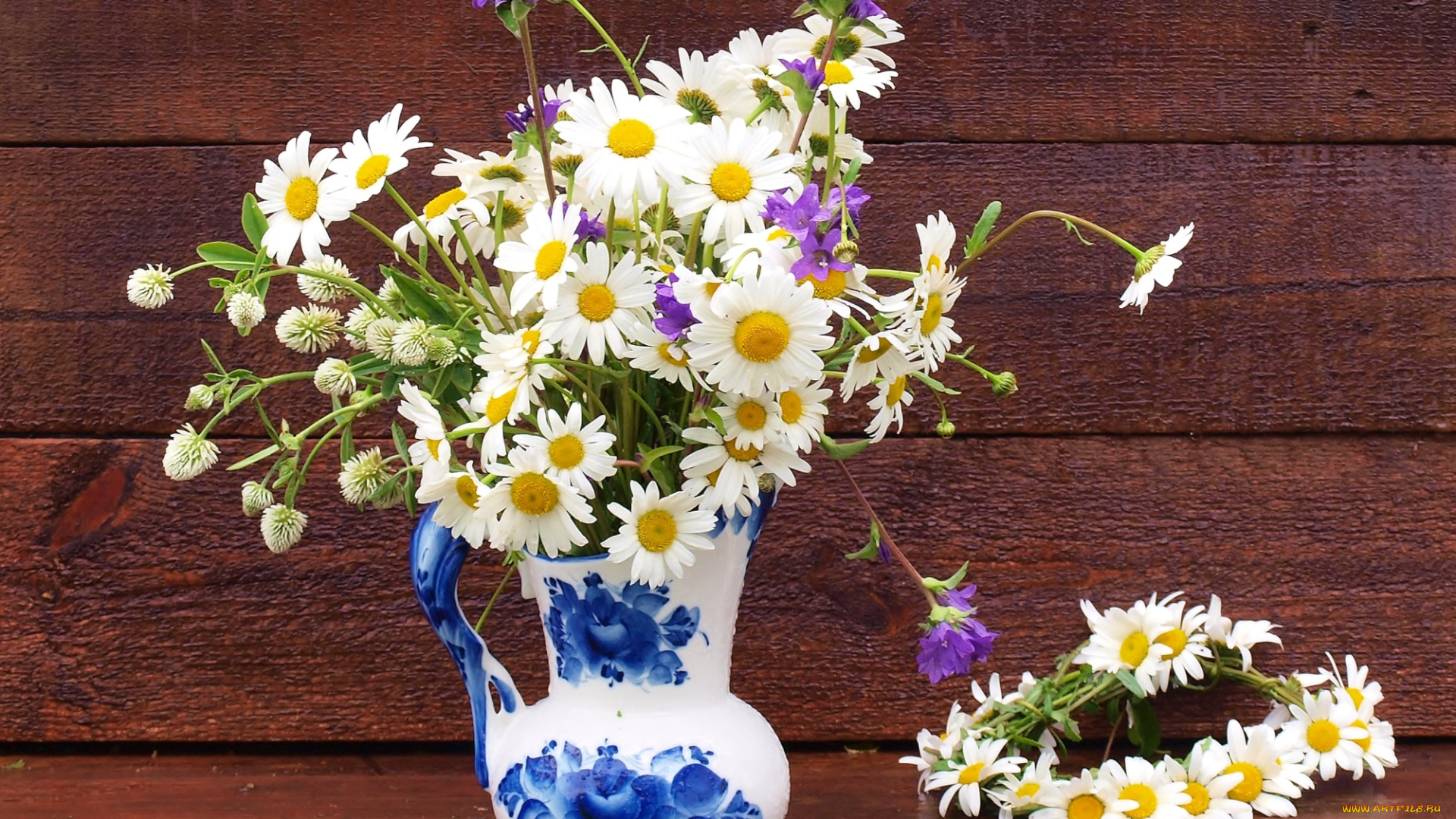 цветы, луговые, полевые, венок, ромашки, клевер