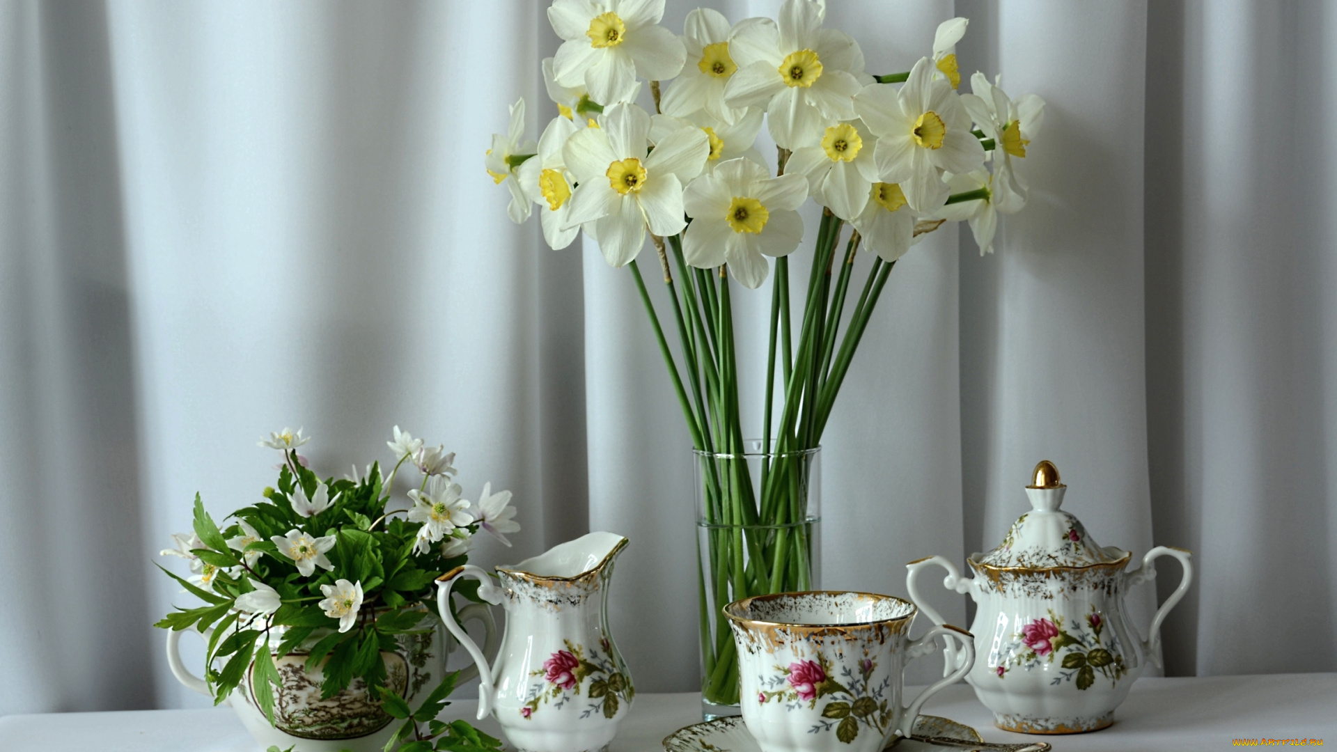 цветы, разные, вместе, нарциссы, ветреницы, сервиз
