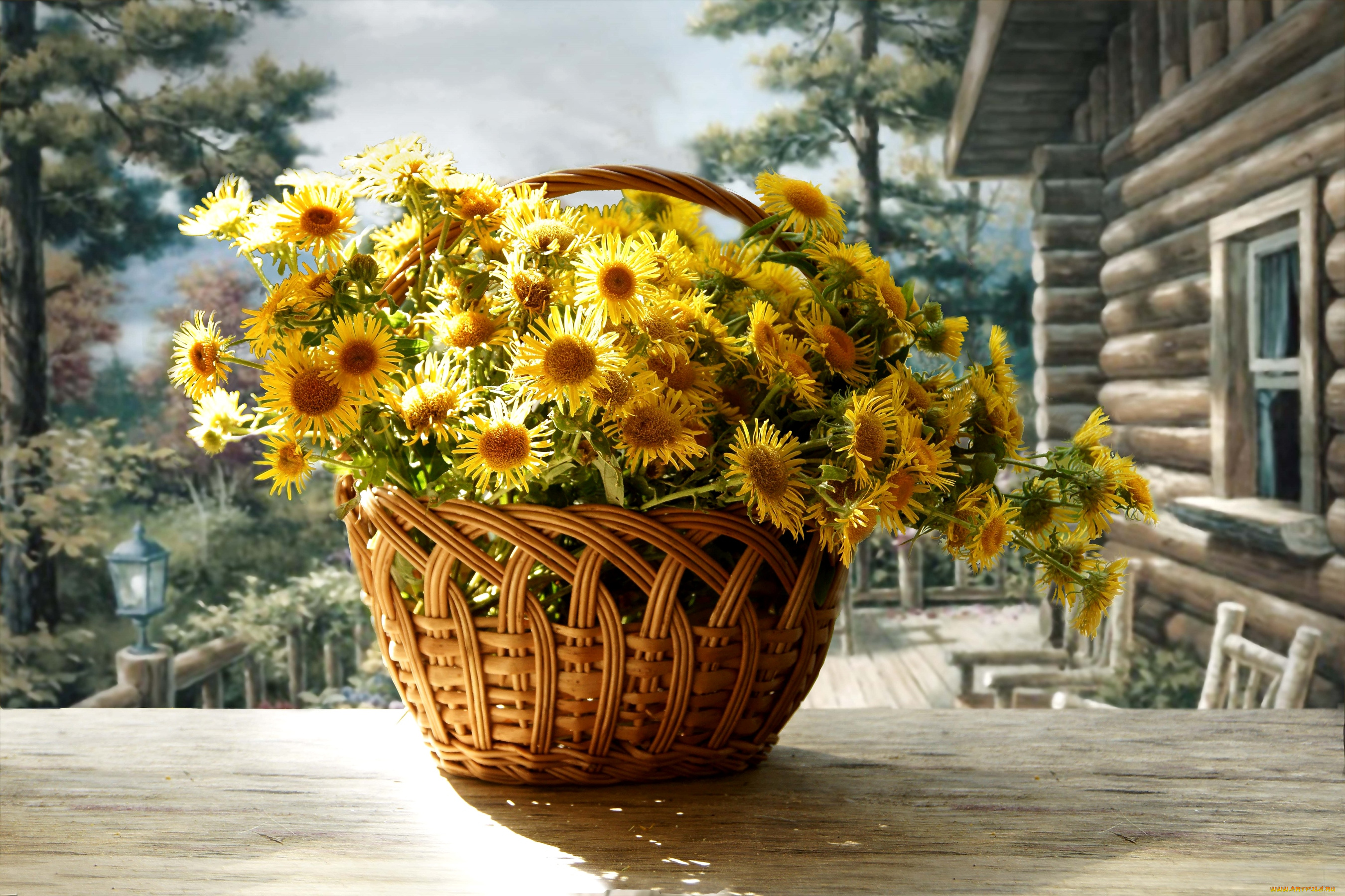 цветы, корзинка, изба