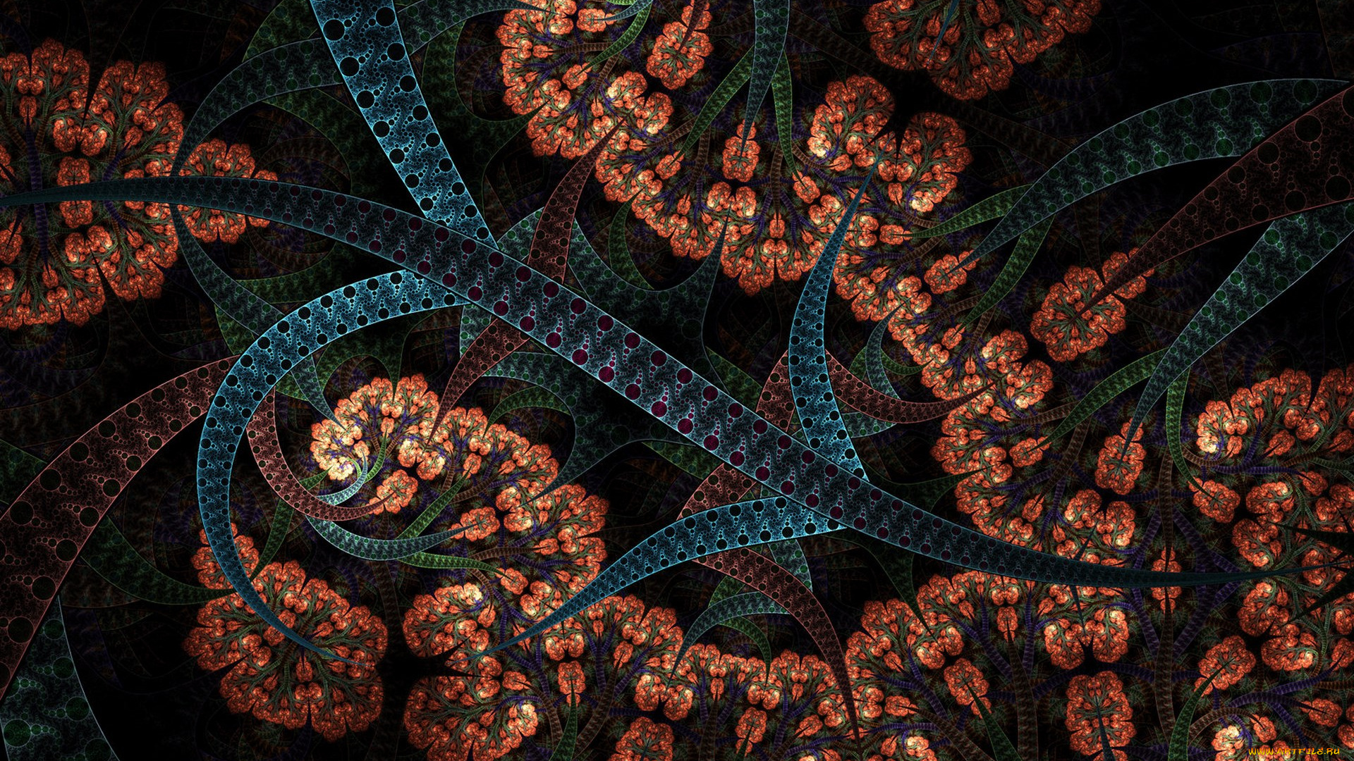 3д, графика, фракталы, , fractal, цвета, фон, узор