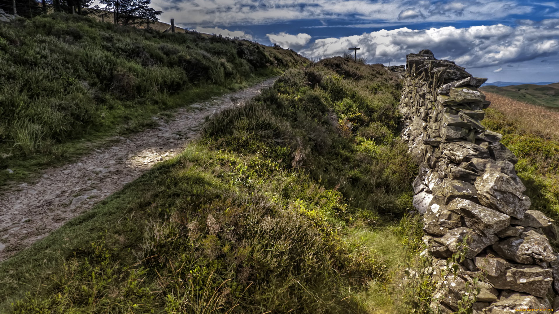 природа, дороги, изгородь, лес, тропинка, каменная