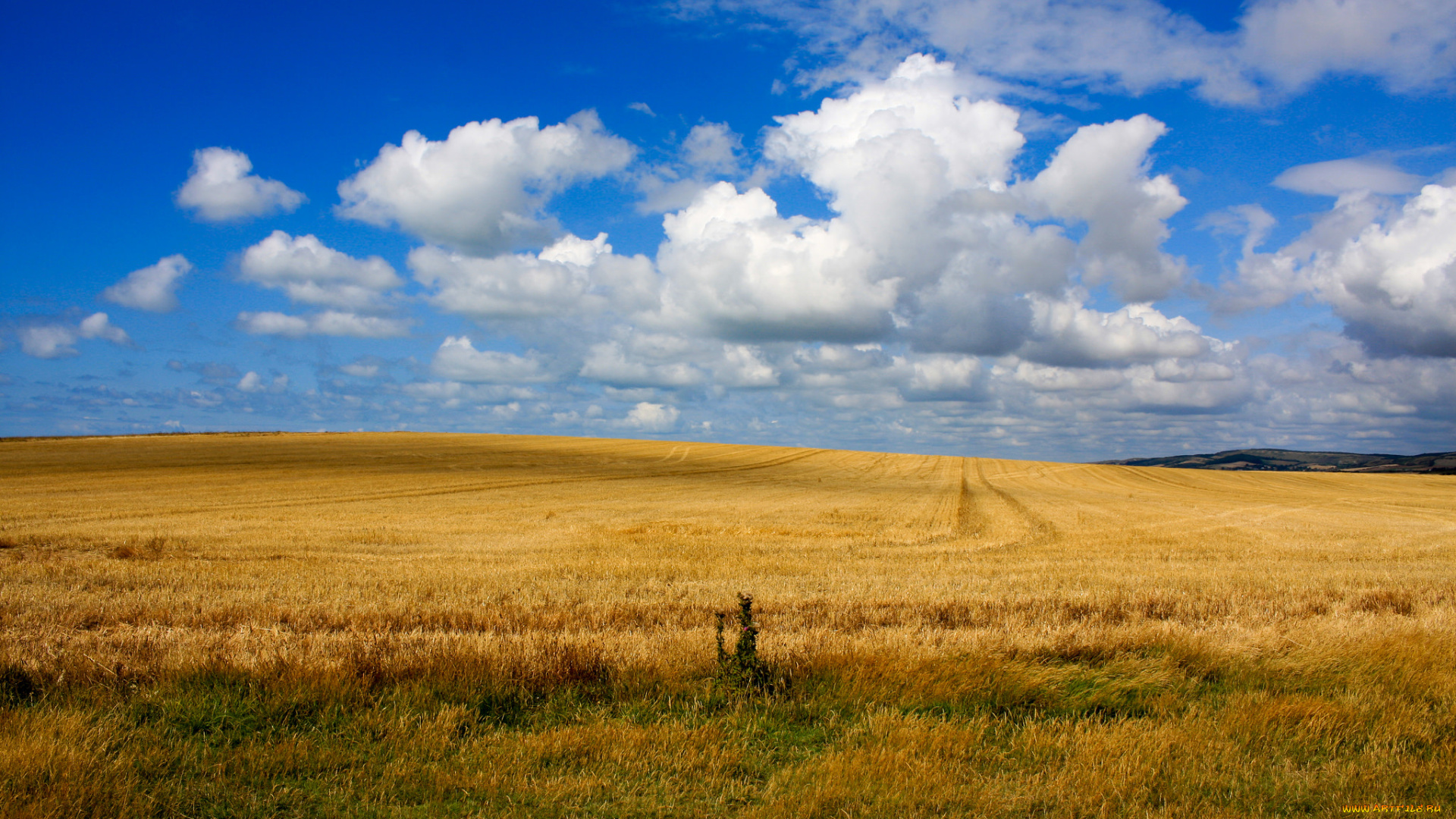 природа, поля, поле, облака