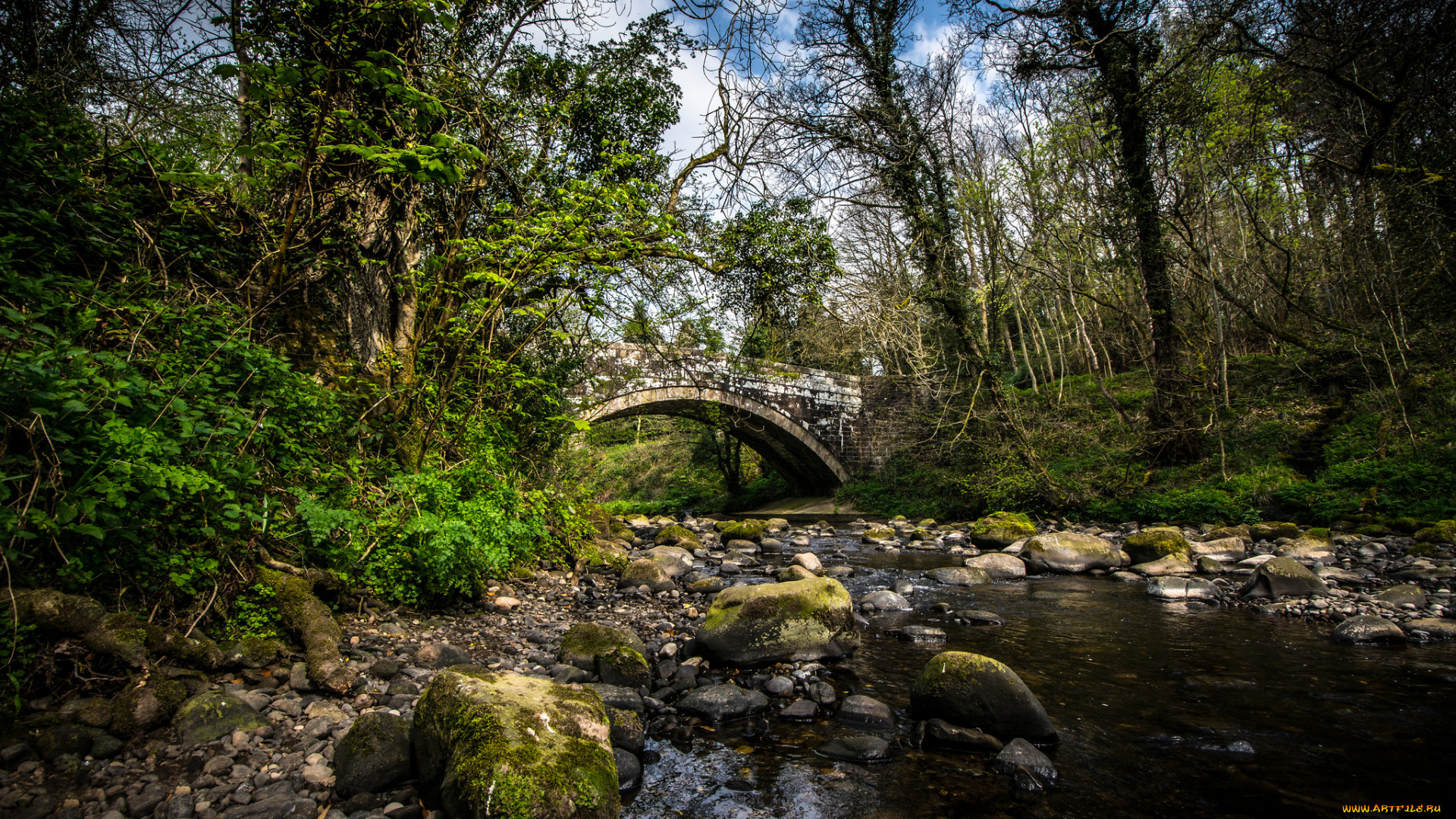 природа, реки, озера, лес, река, мост, арка