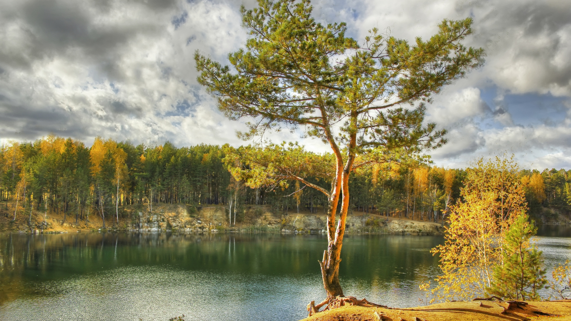 природа, реки, озера, сосна