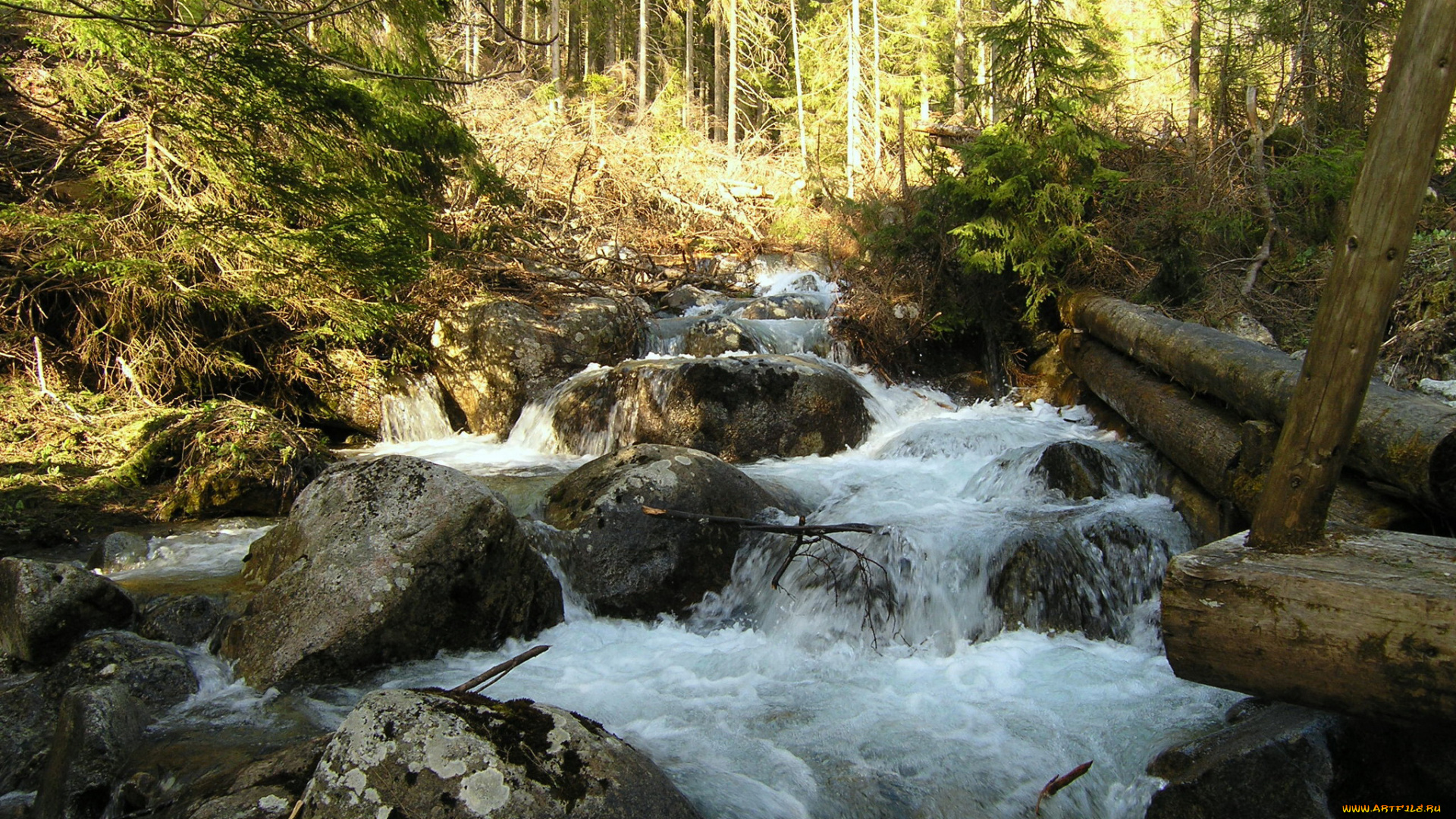 природа, водопады, словакия, бревна, камни, водопад, лес