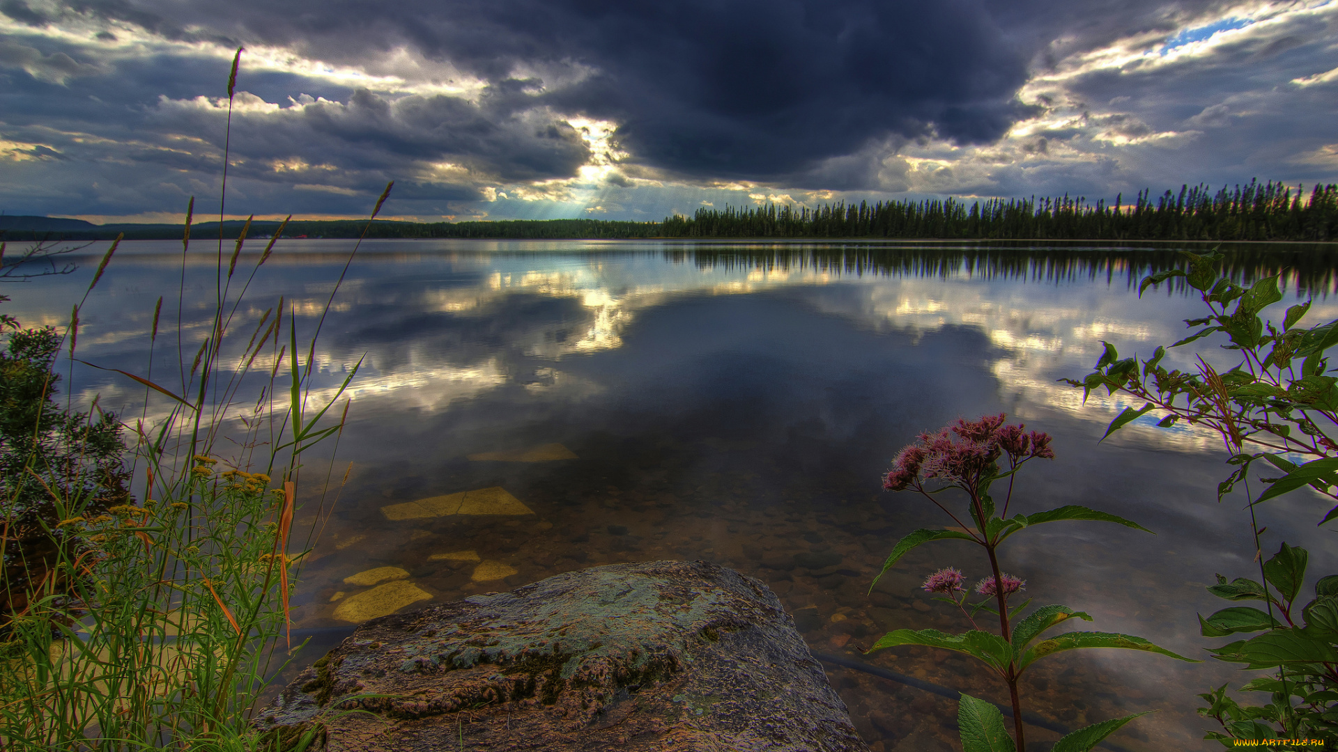 природа, восходы, закаты, лес, река, тучи, заря