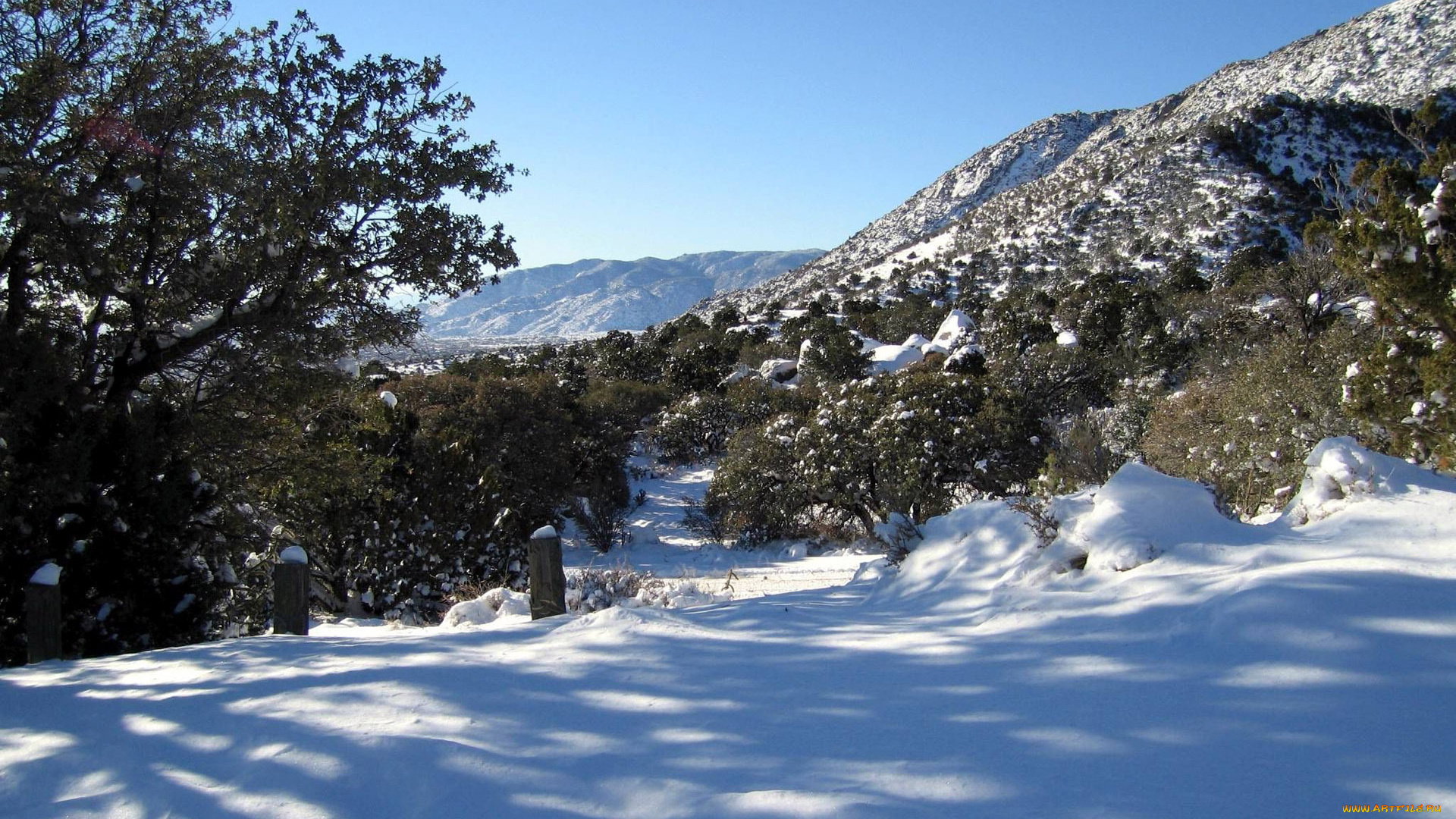 природа, зима, снег