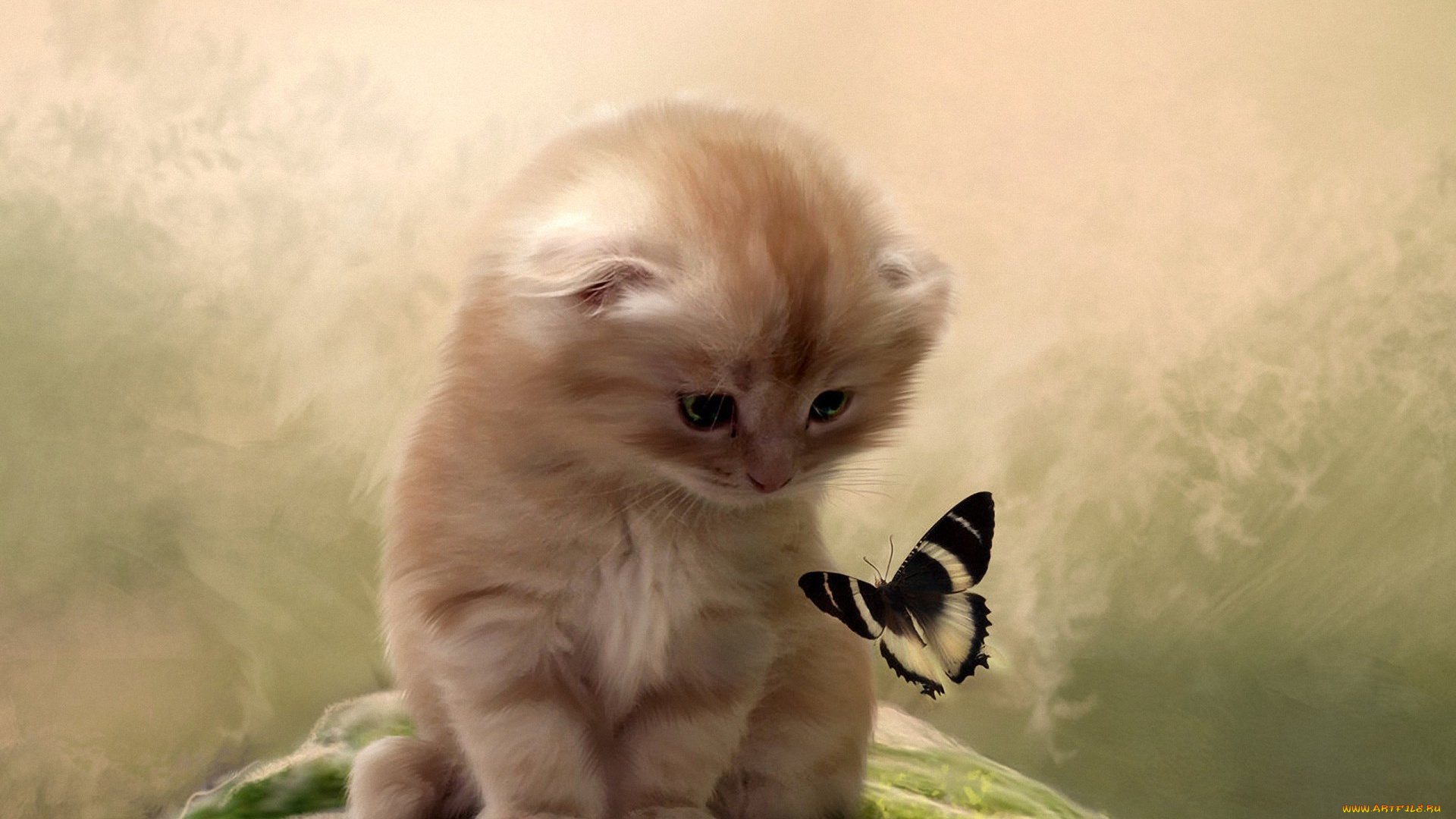 рисованные, животные, , коты, внимание, холм, бабочка, котенок