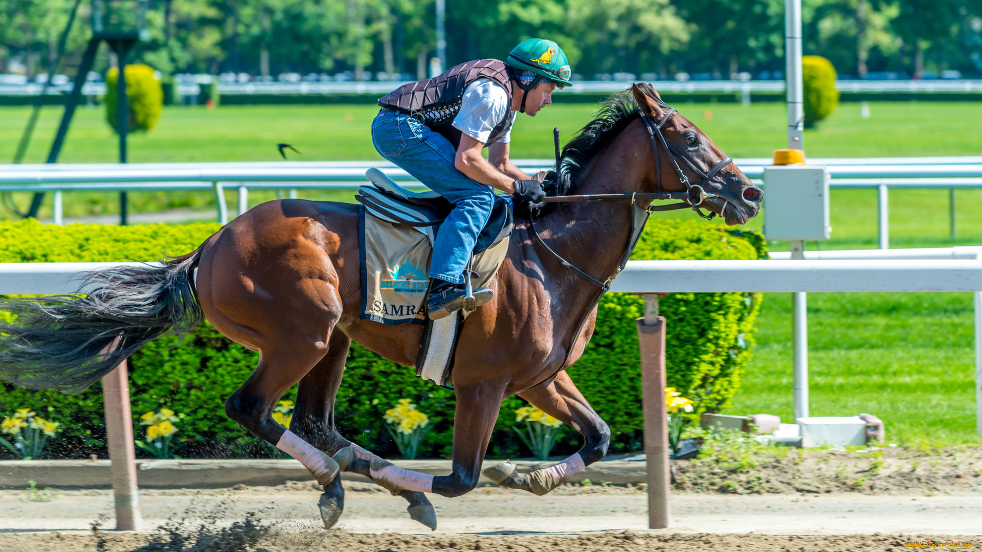 спорт, конный, спорт, ипподром, скачки