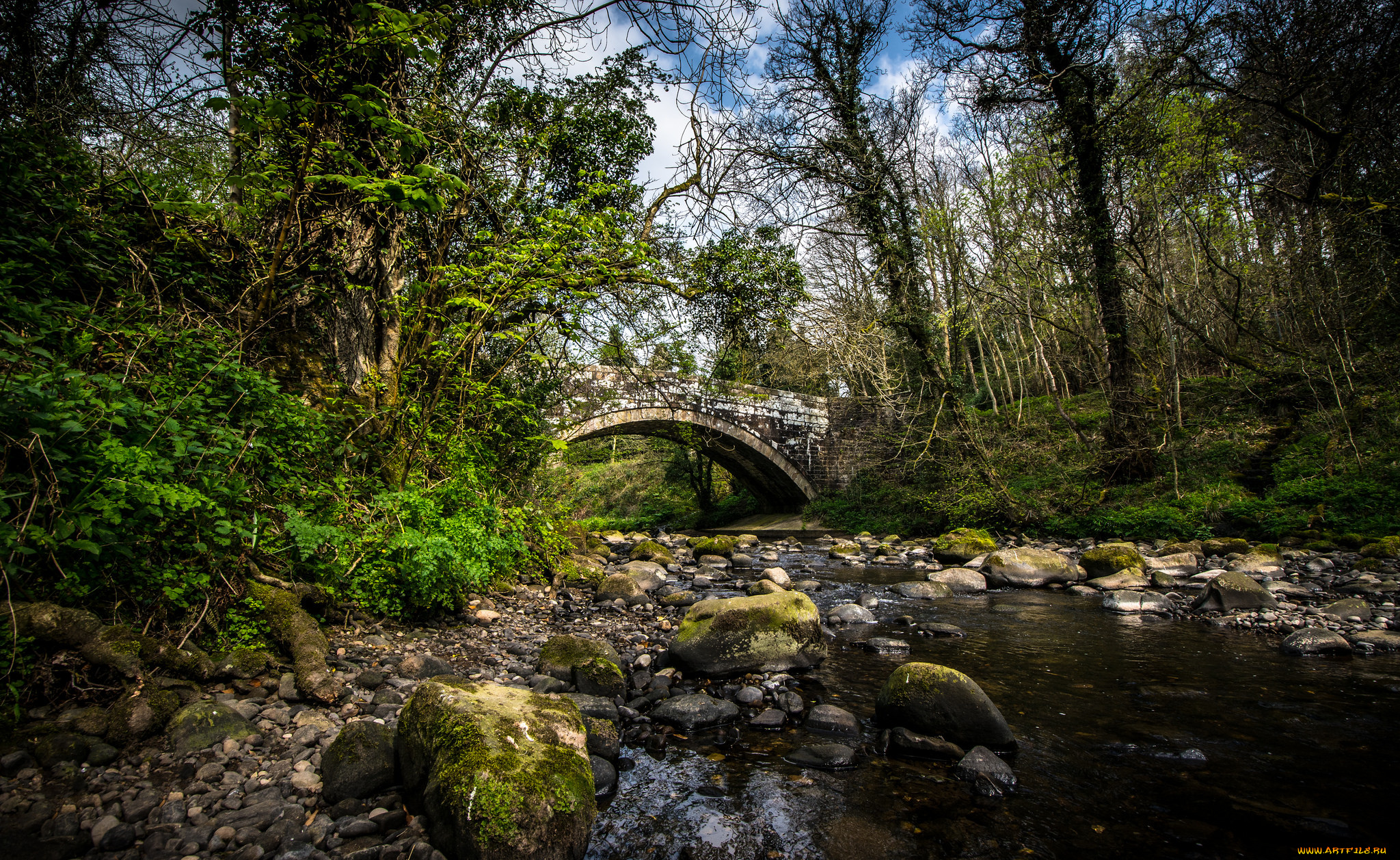 природа, реки, озера, лес, река, мост, арка