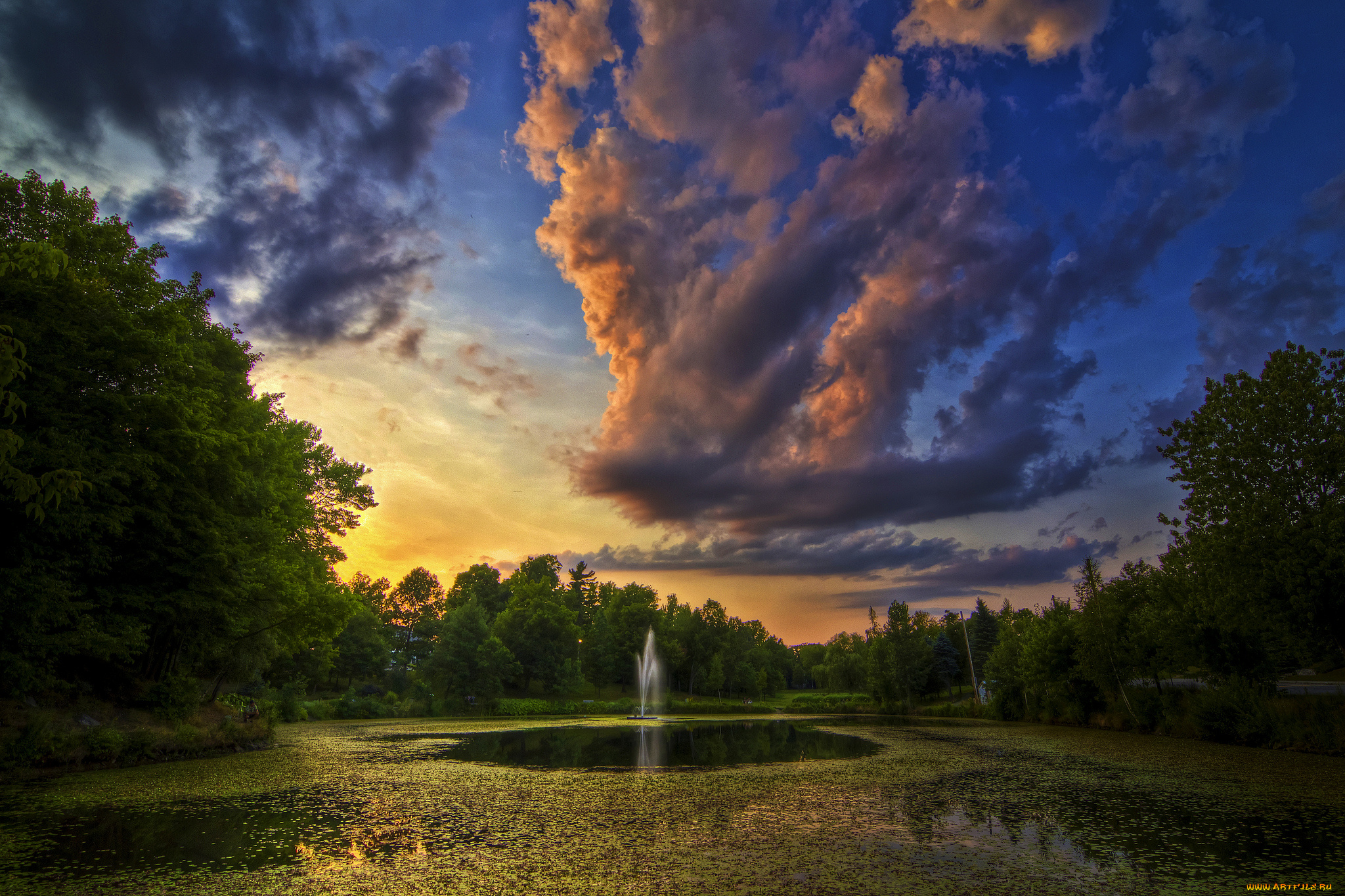 природа, парк, заря, тучи, река, лес