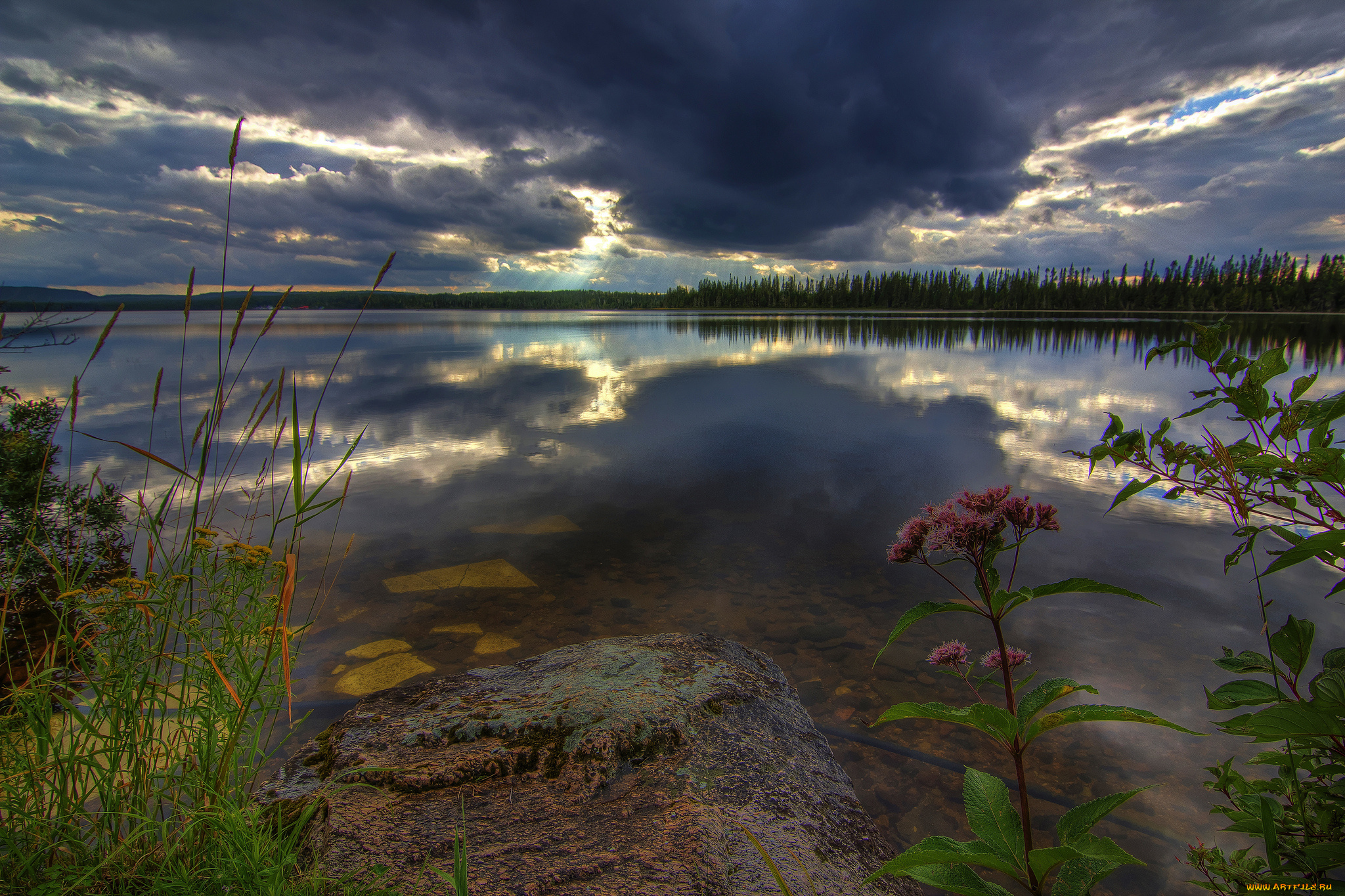 природа, восходы, закаты, лес, река, тучи, заря