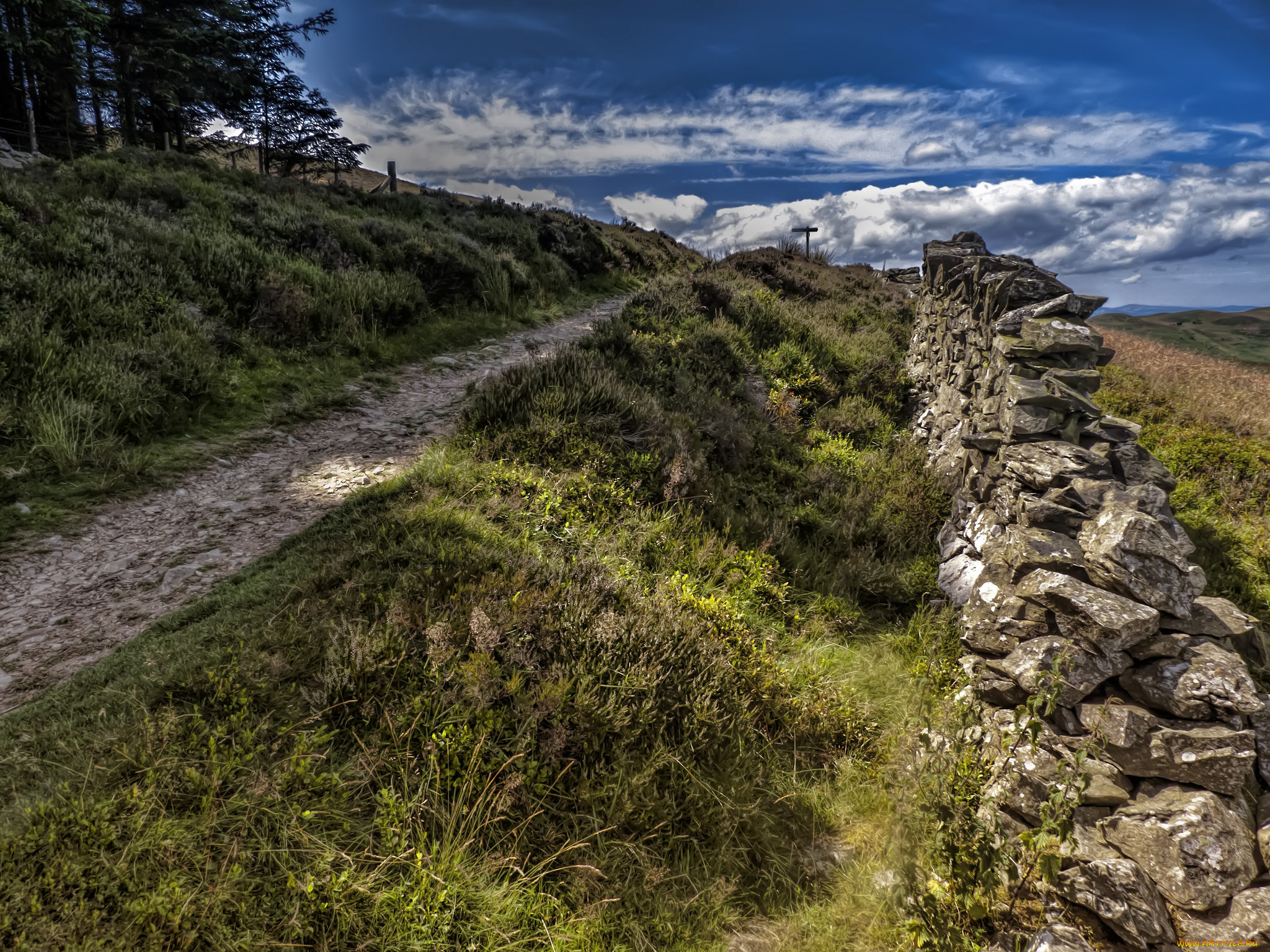 природа, дороги, изгородь, лес, тропинка, каменная