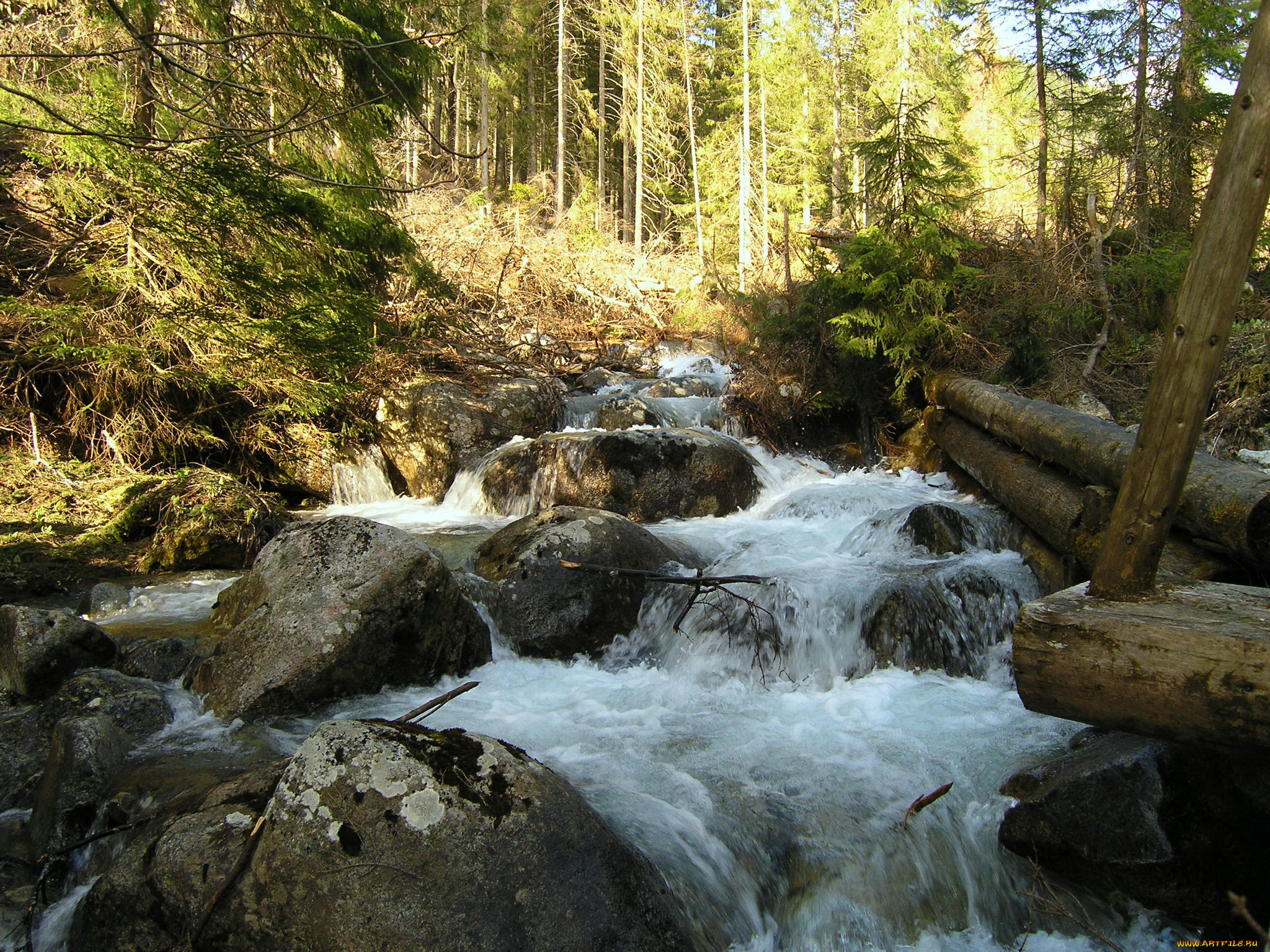 природа, водопады, словакия, бревна, камни, водопад, лес