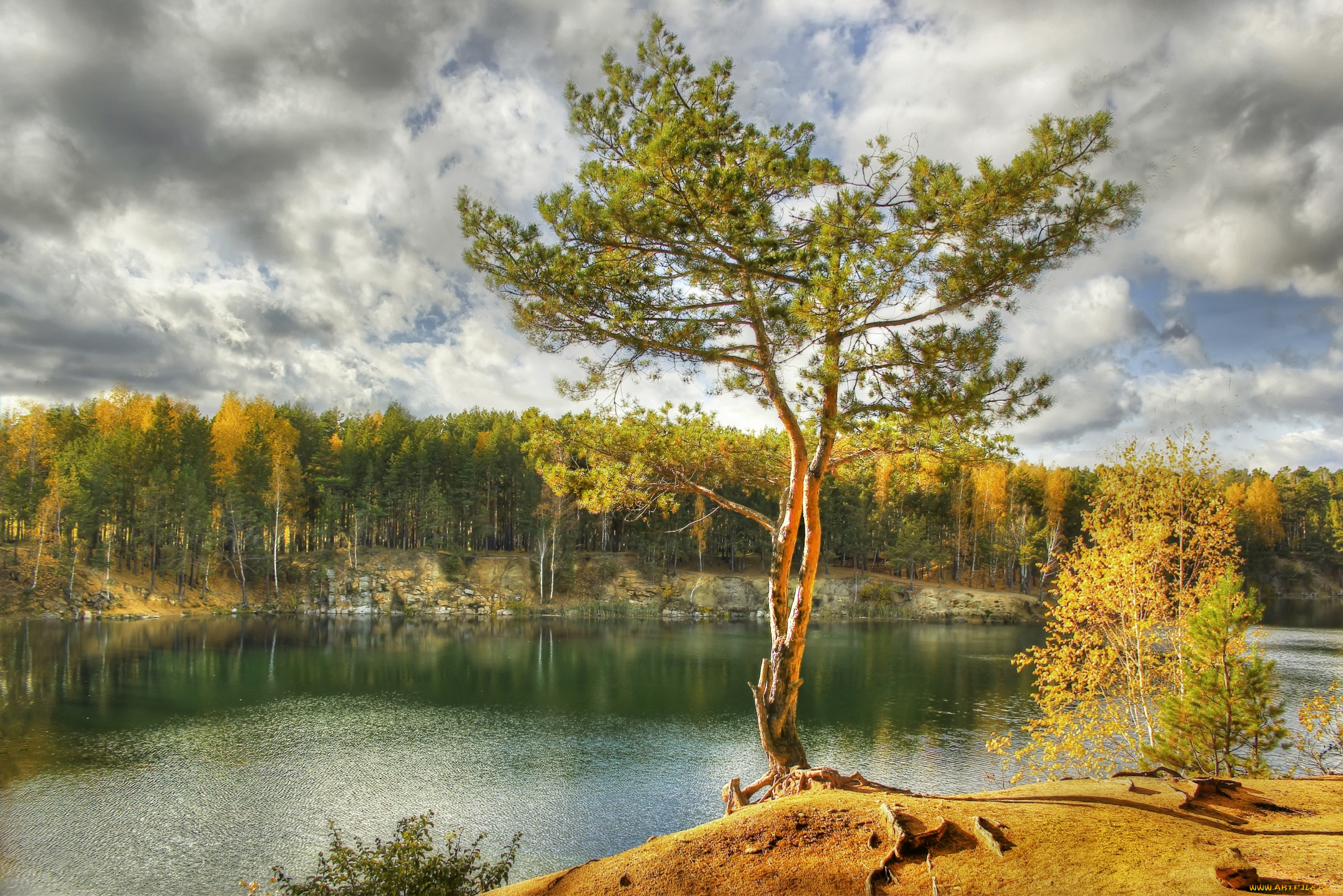 природа, реки, озера, сосна