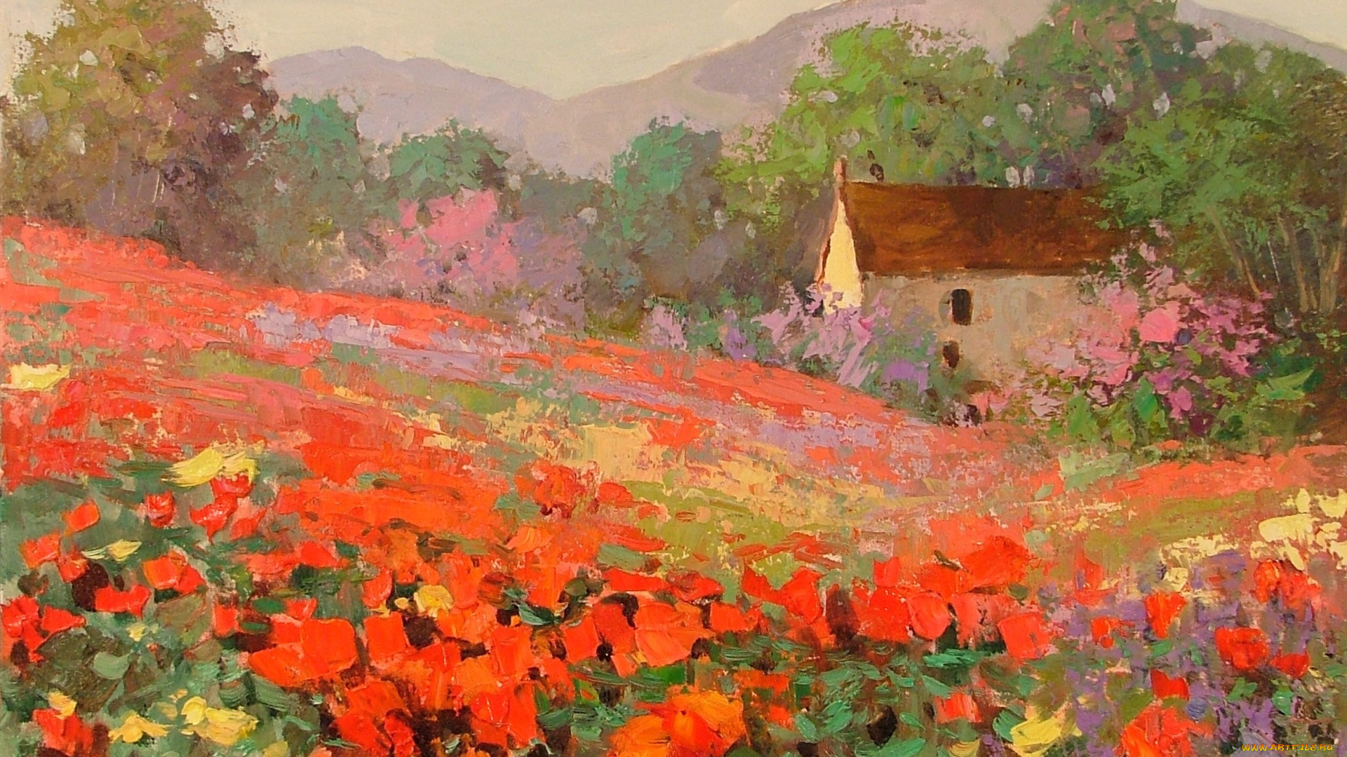 рисованное, живопись, пейзаж, домик, маки, цветы, поле