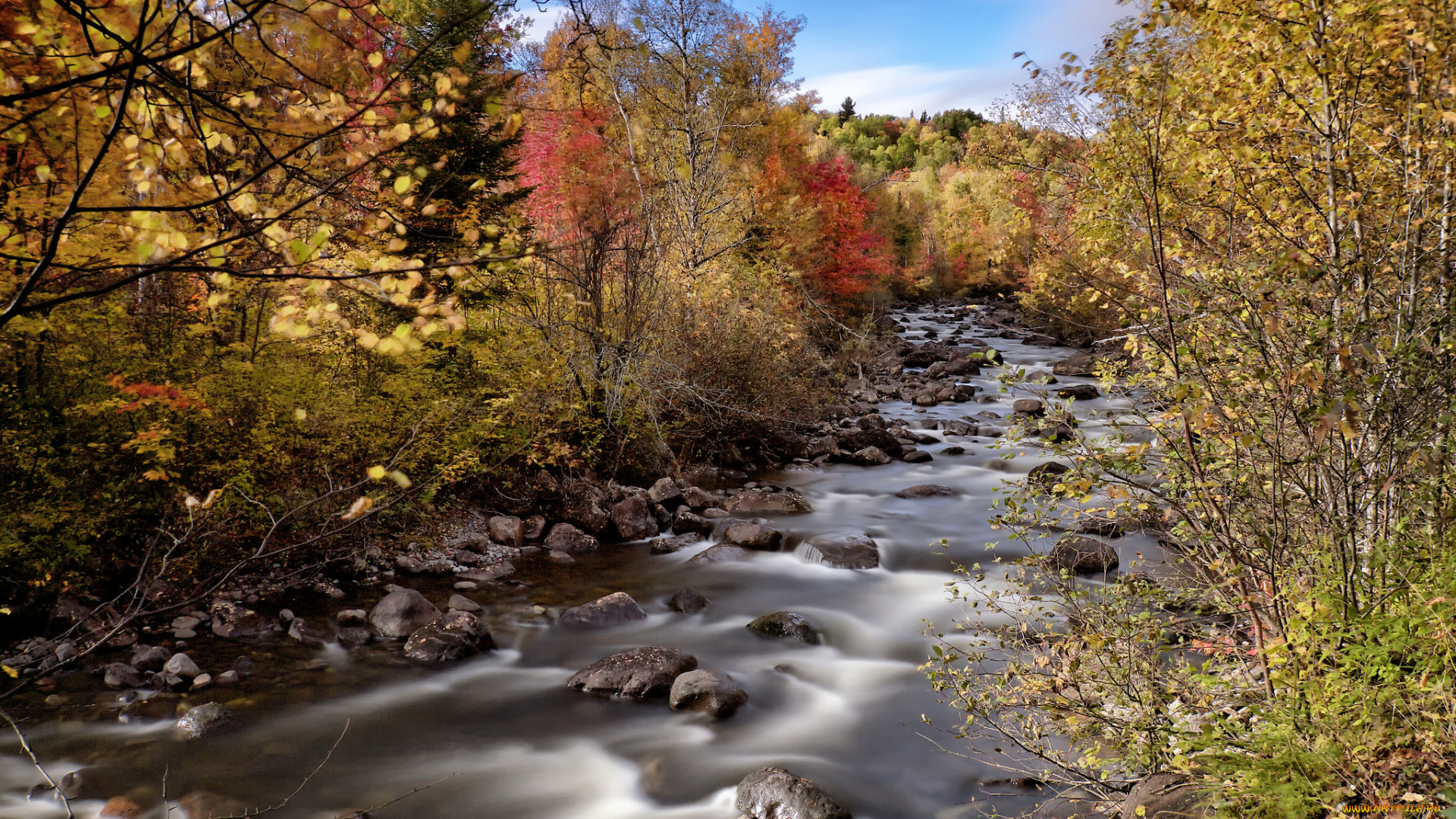 природа, реки, озера, река, лес