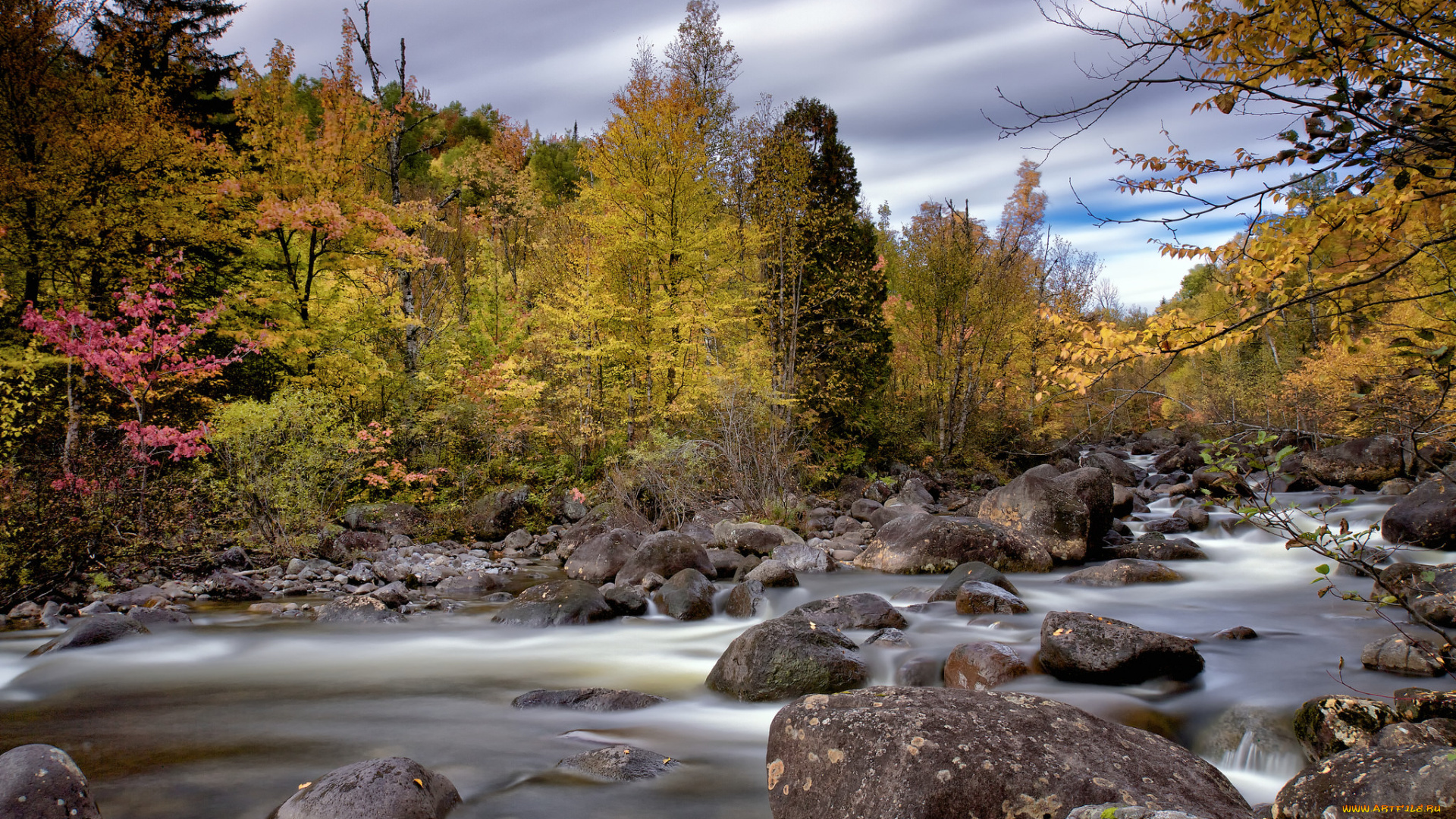 природа, реки, озера, река, лес