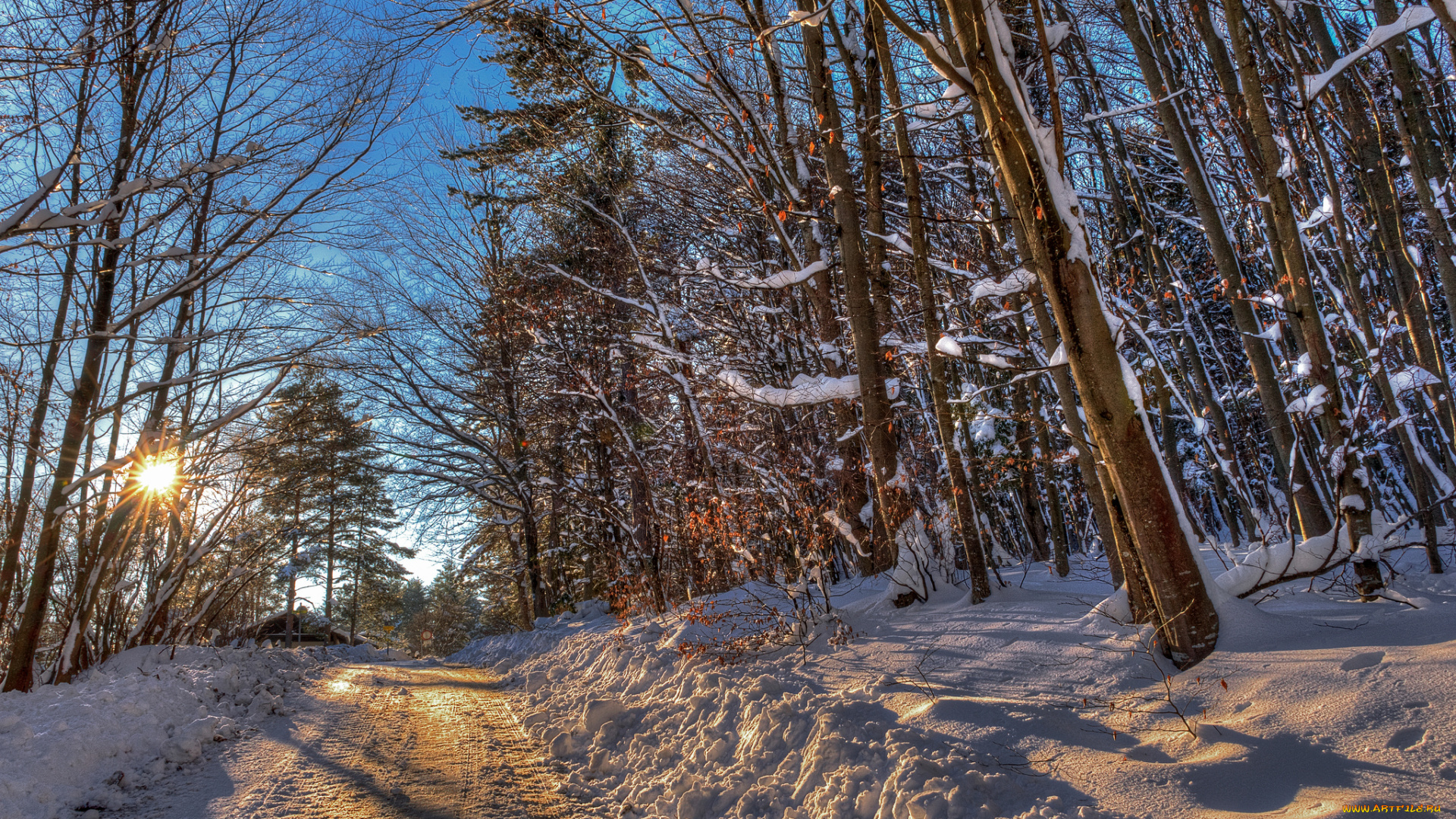 природа, зима, снег