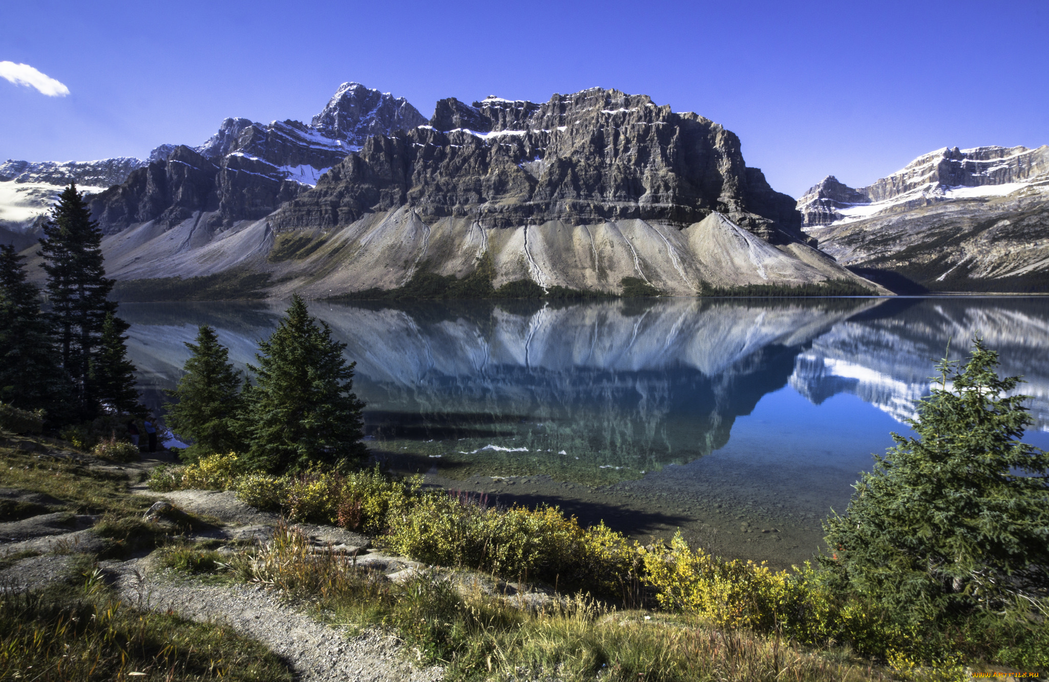 природа, реки, озера, река, лес