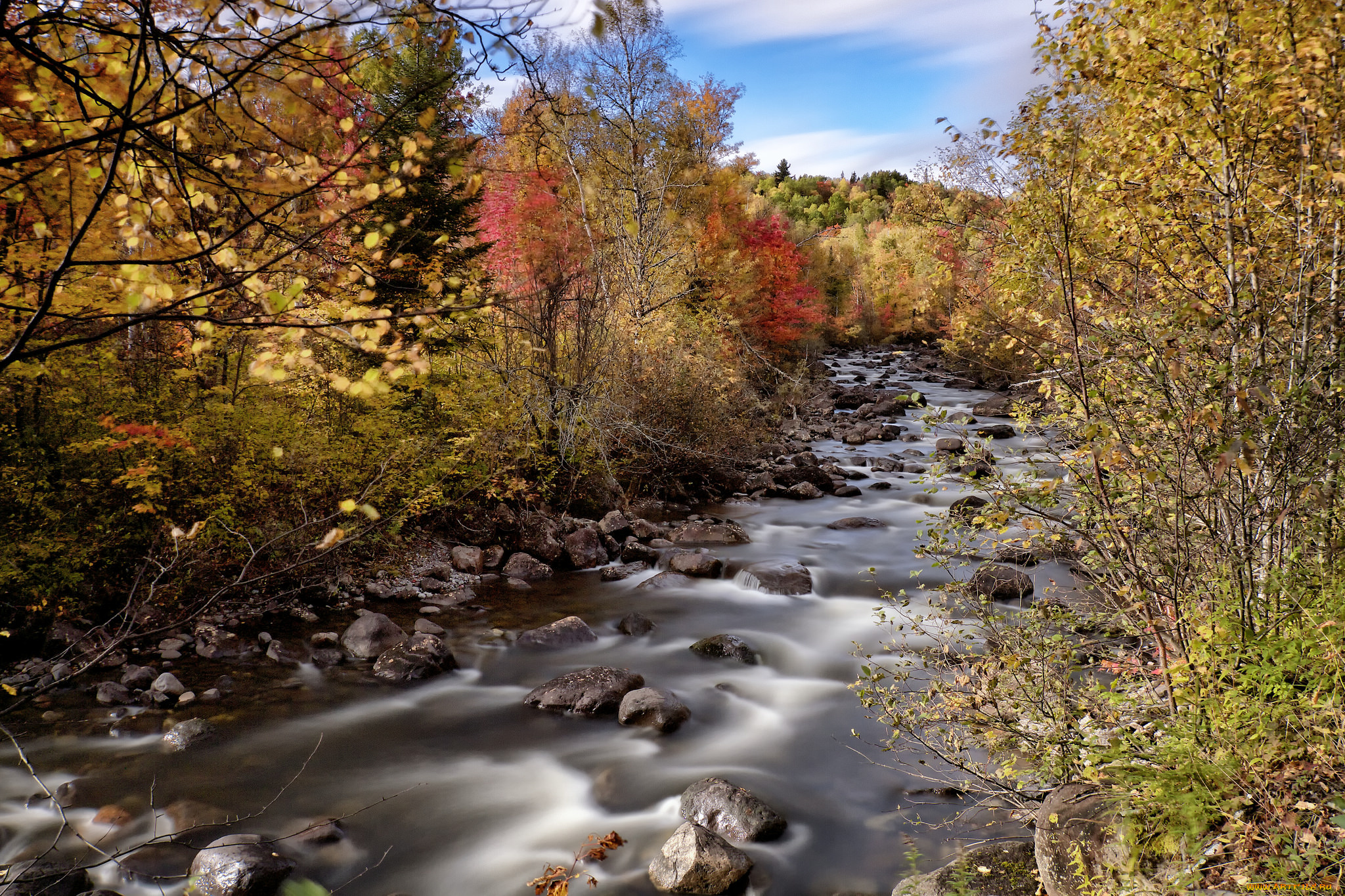 природа, реки, озера, река, лес
