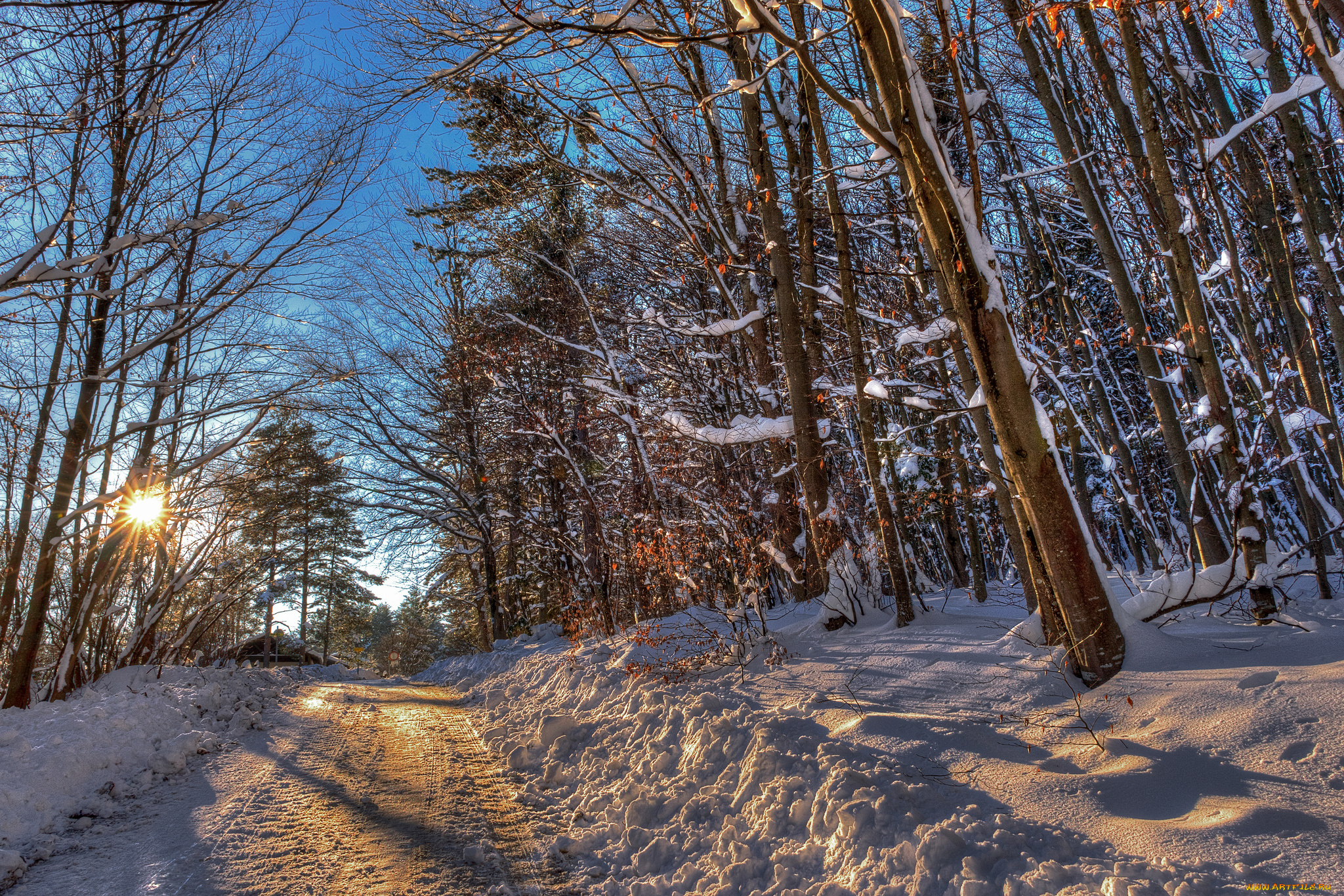 природа, зима, снег