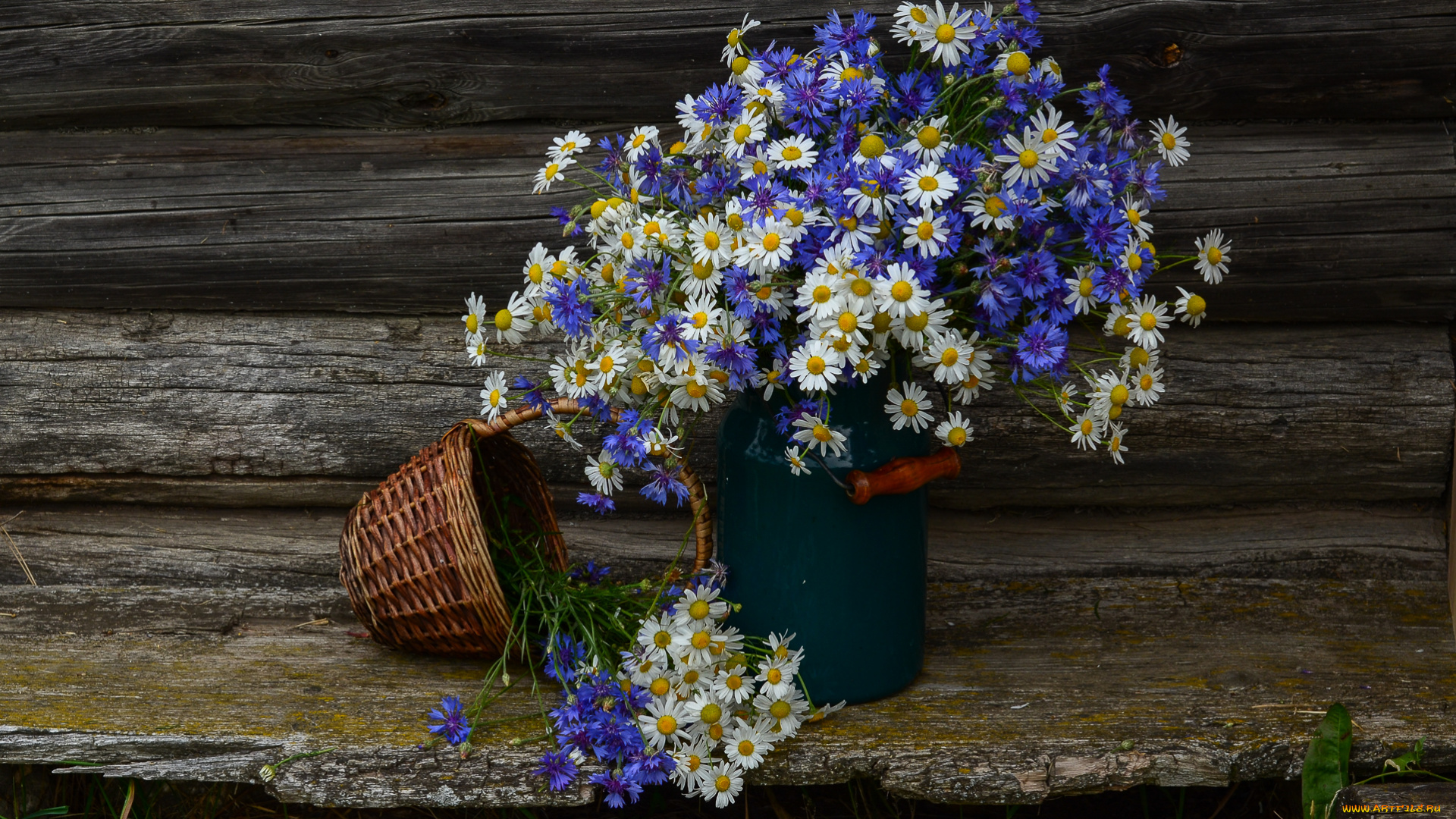 цветы, луговые, , полевые, , цветы, натюрморт, лето