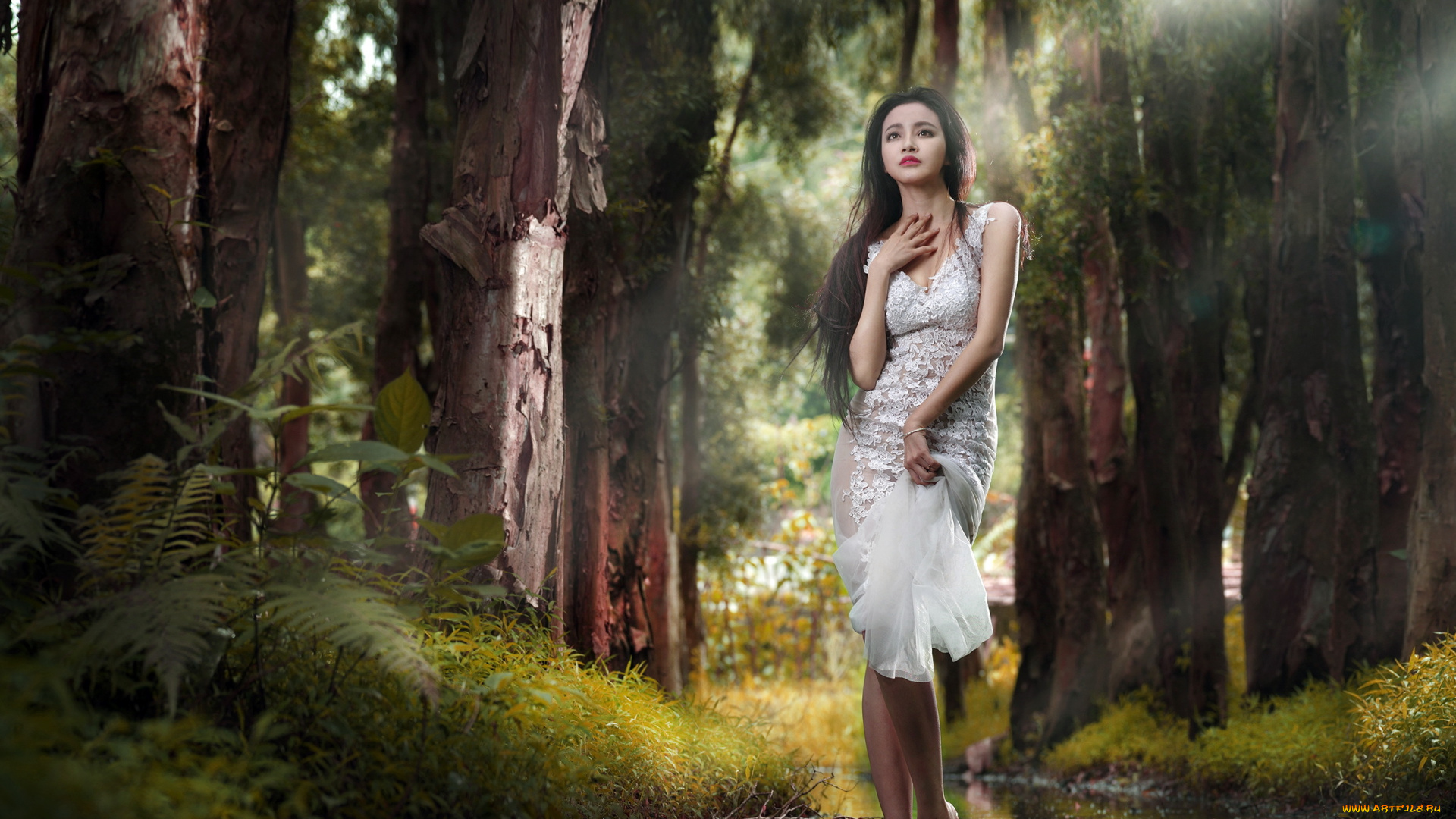 девушки, -unsort, , брюнетки, темноволосые, природа, девушка, лес