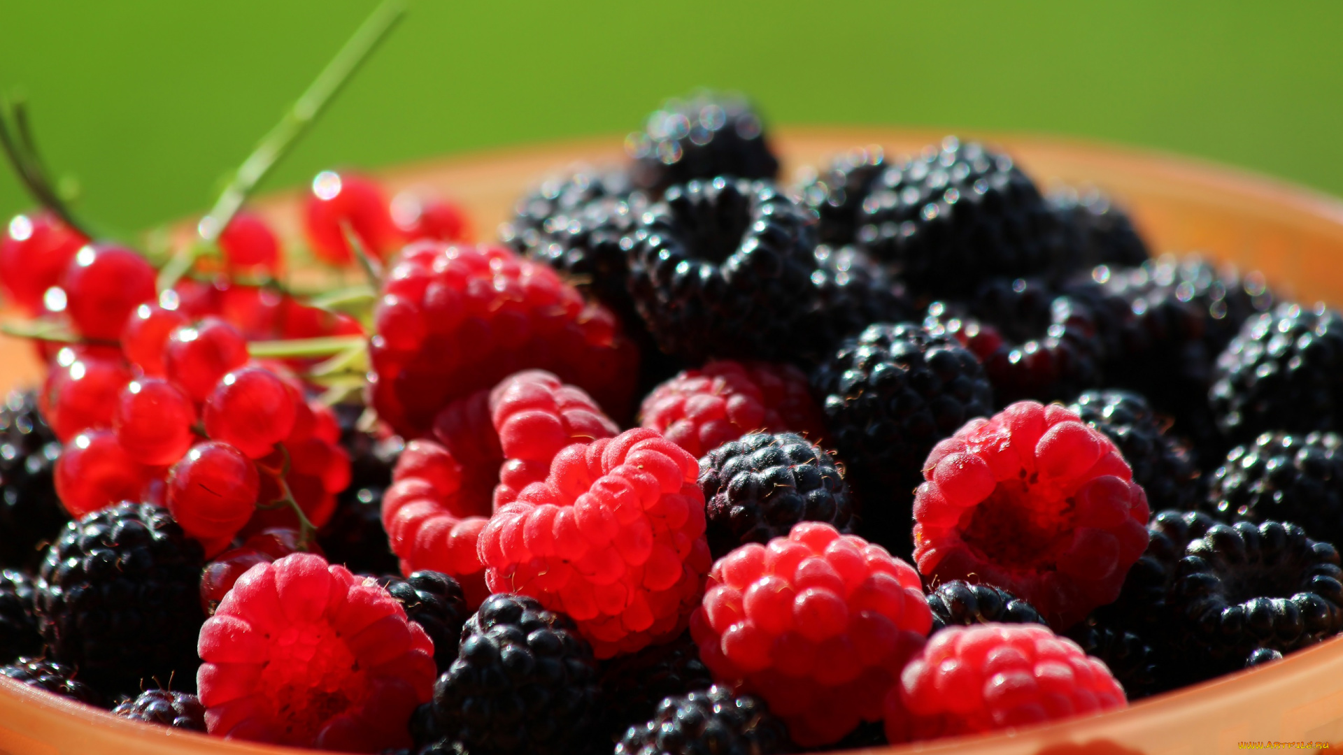 еда, фрукты, , ягоды, витамины, ассорти, ягоды, чёрная, малина, природа, лето, красота, красная, смородина, контровый, свет, дача, вкусно