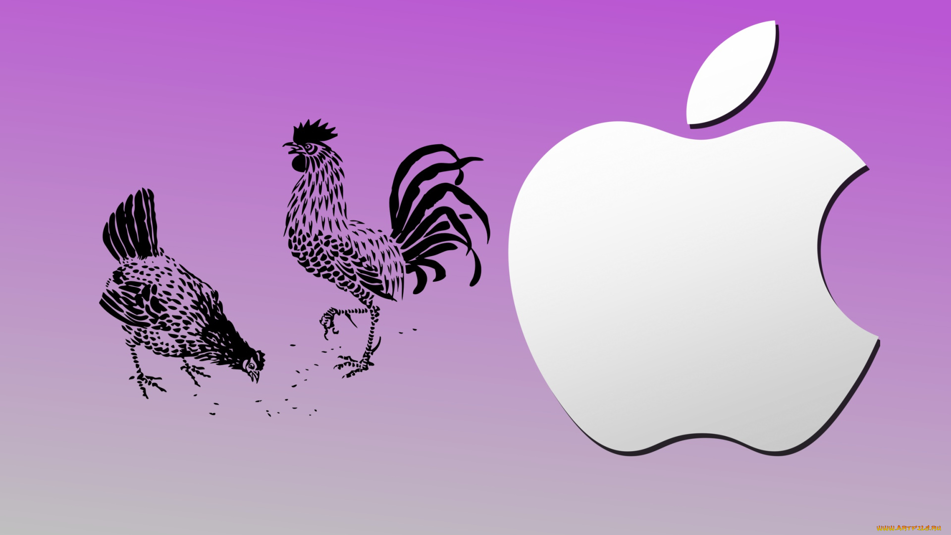 компьютеры, apple, фон, логотип