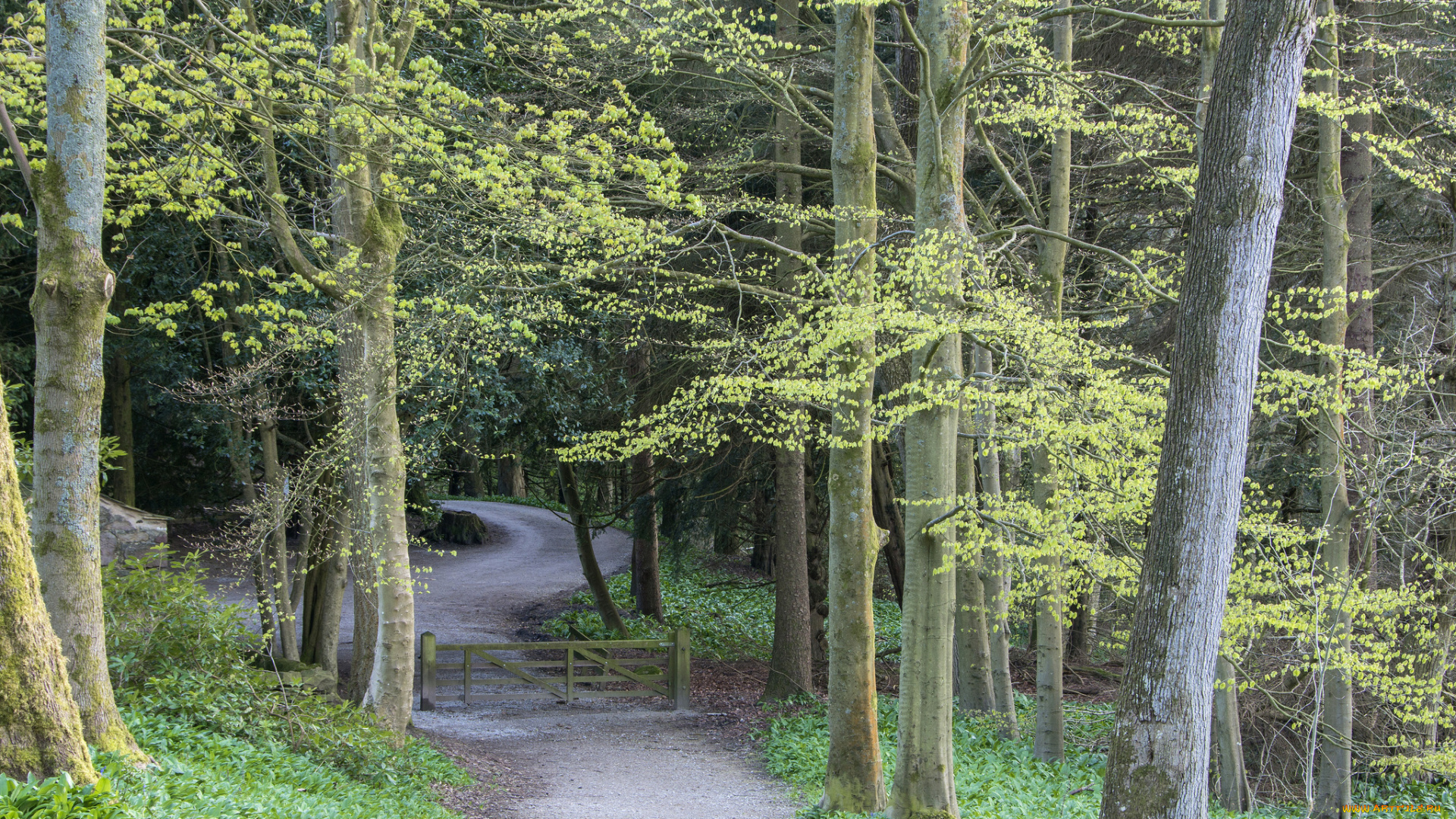 природа, дороги, простор