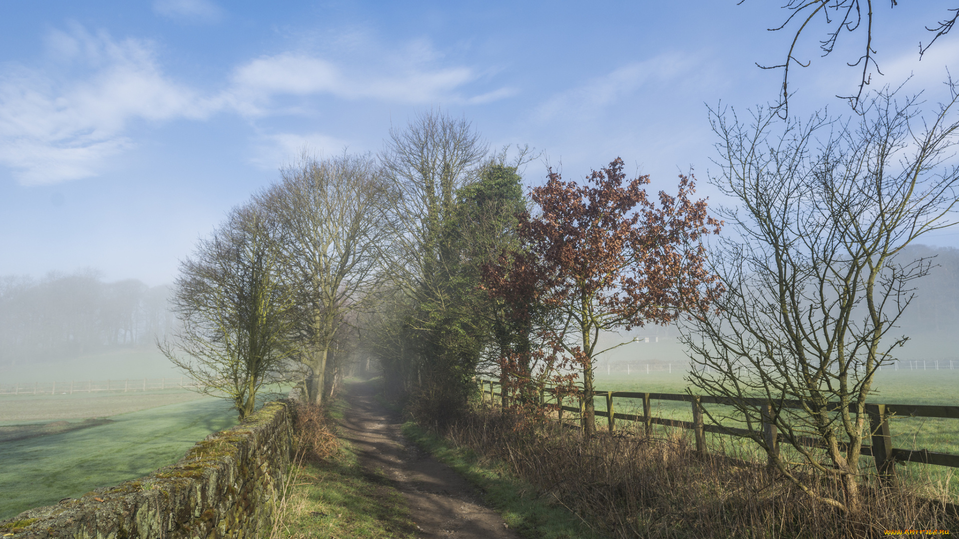 природа, дороги, простор