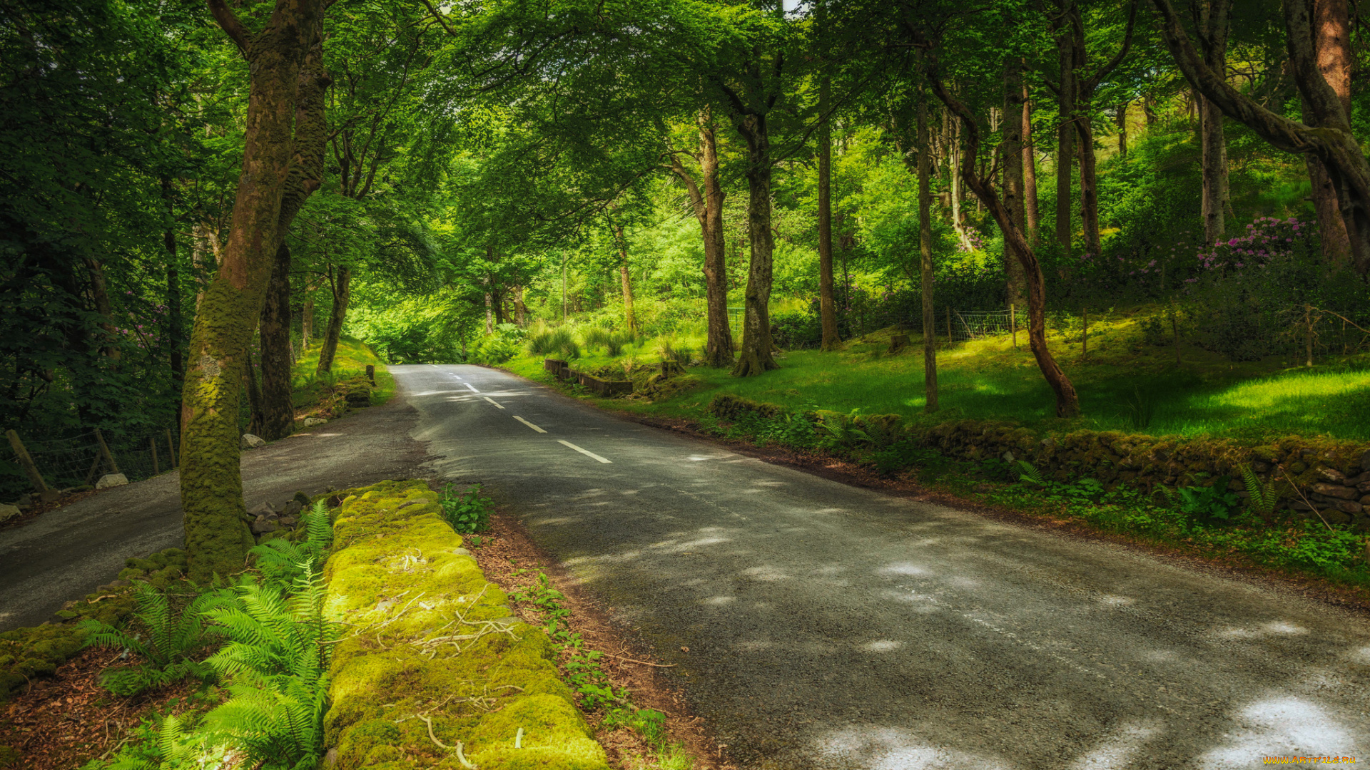 природа, дороги, простор