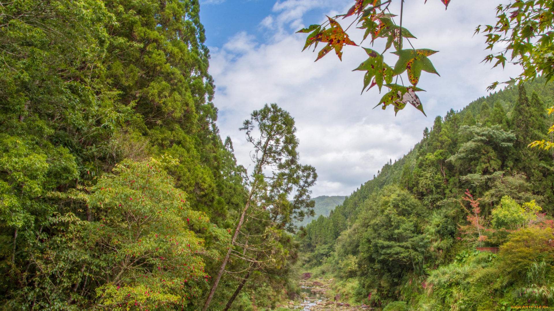 природа, пейзажи, простор